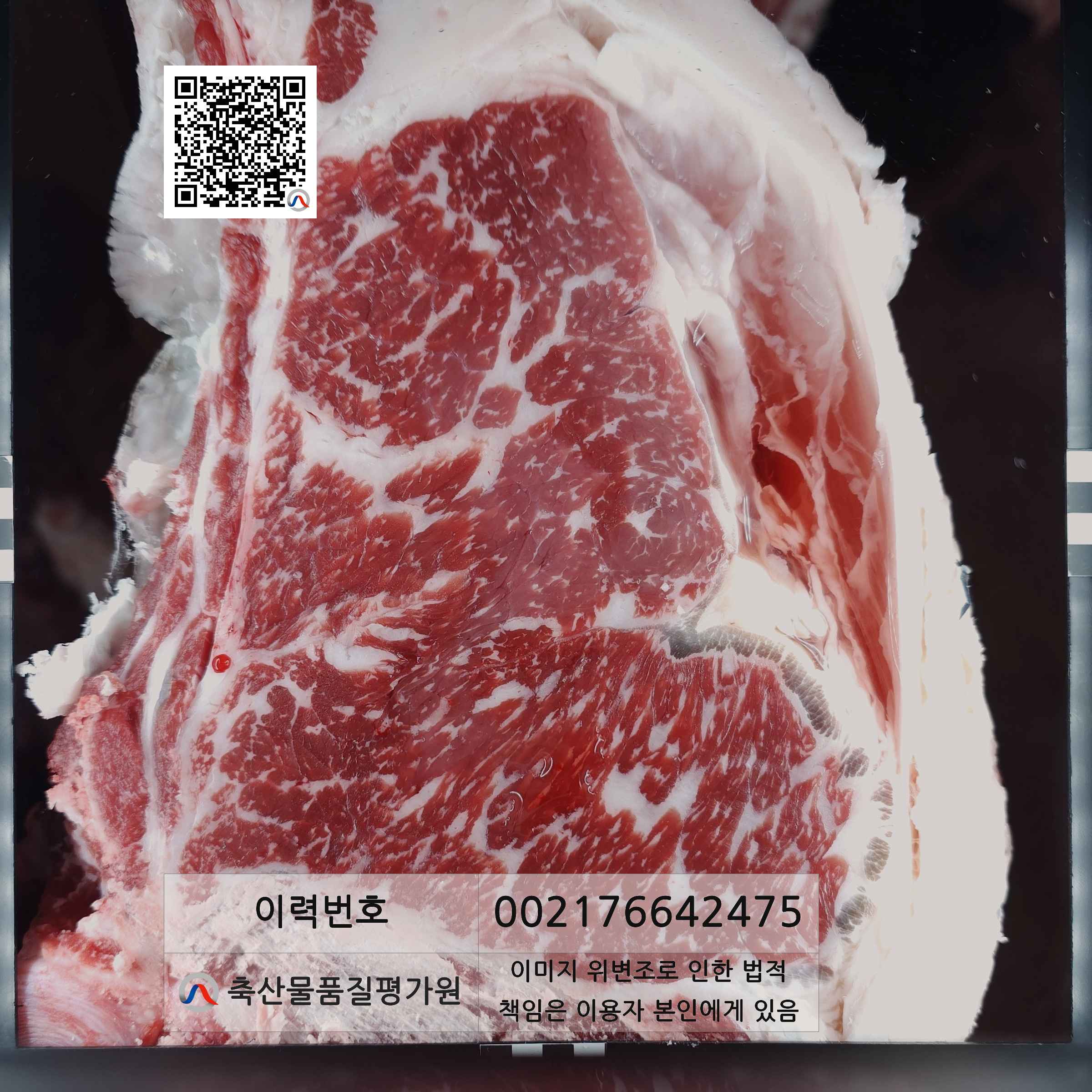 등심단면적 사진