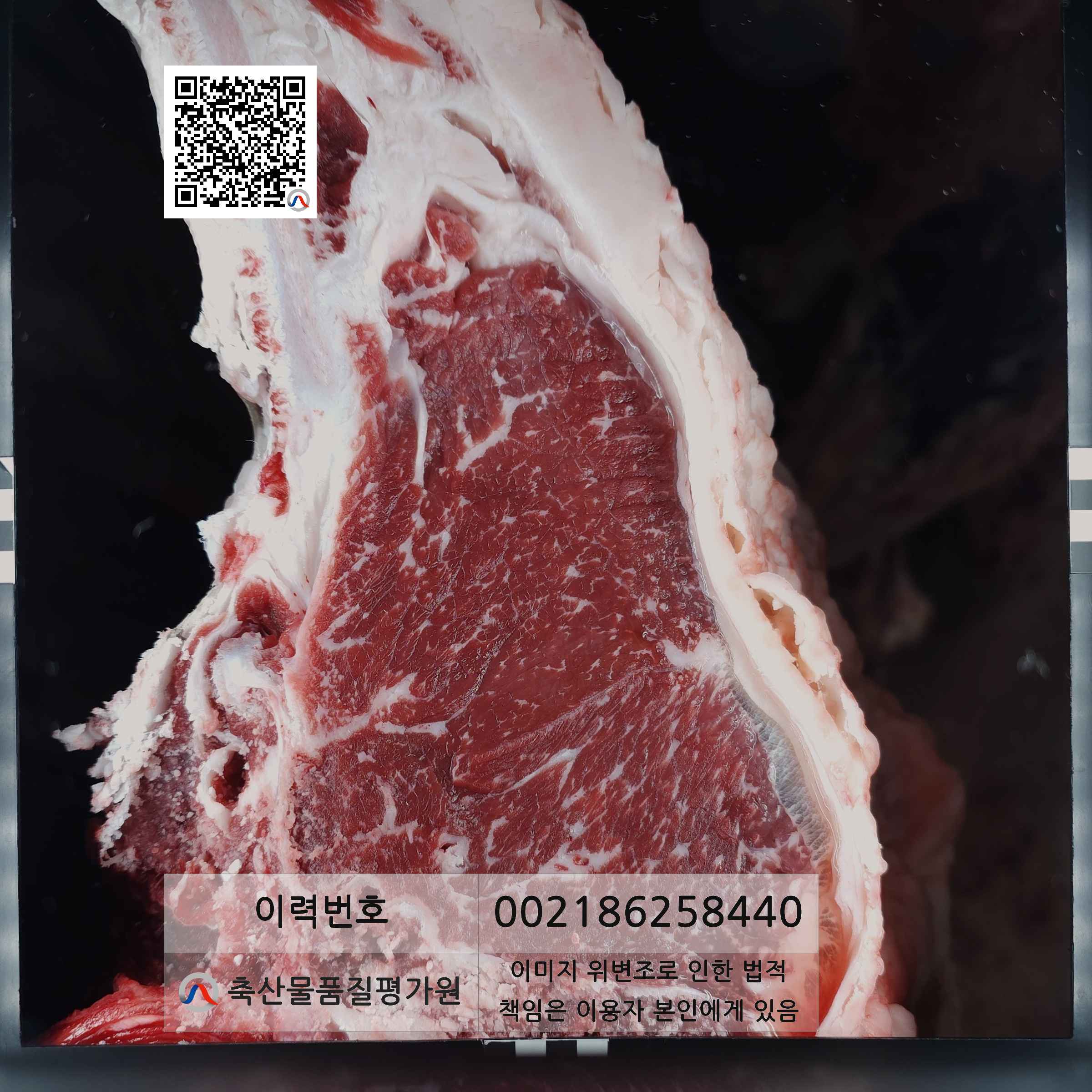 등심단면적 사진