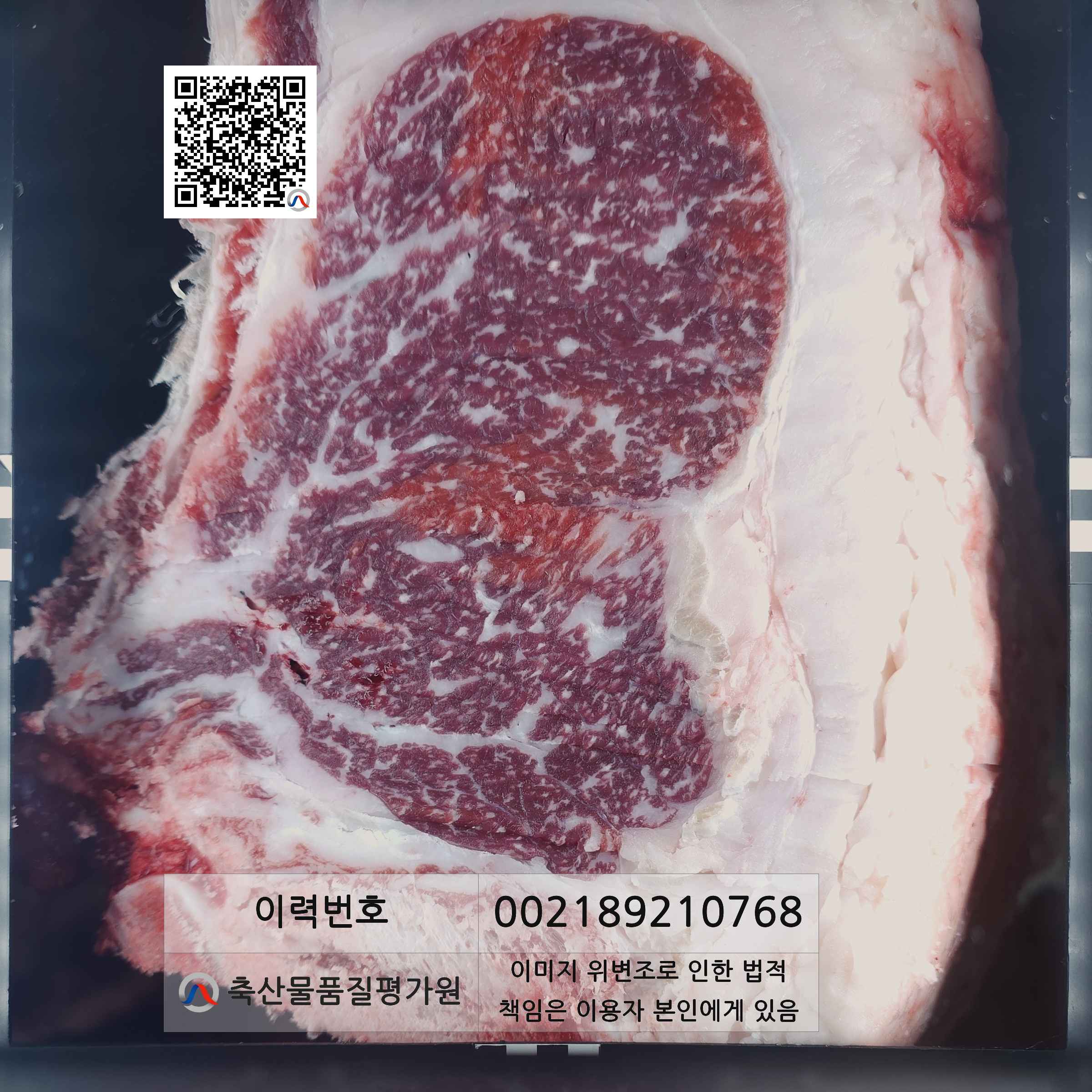 등심단면적 사진