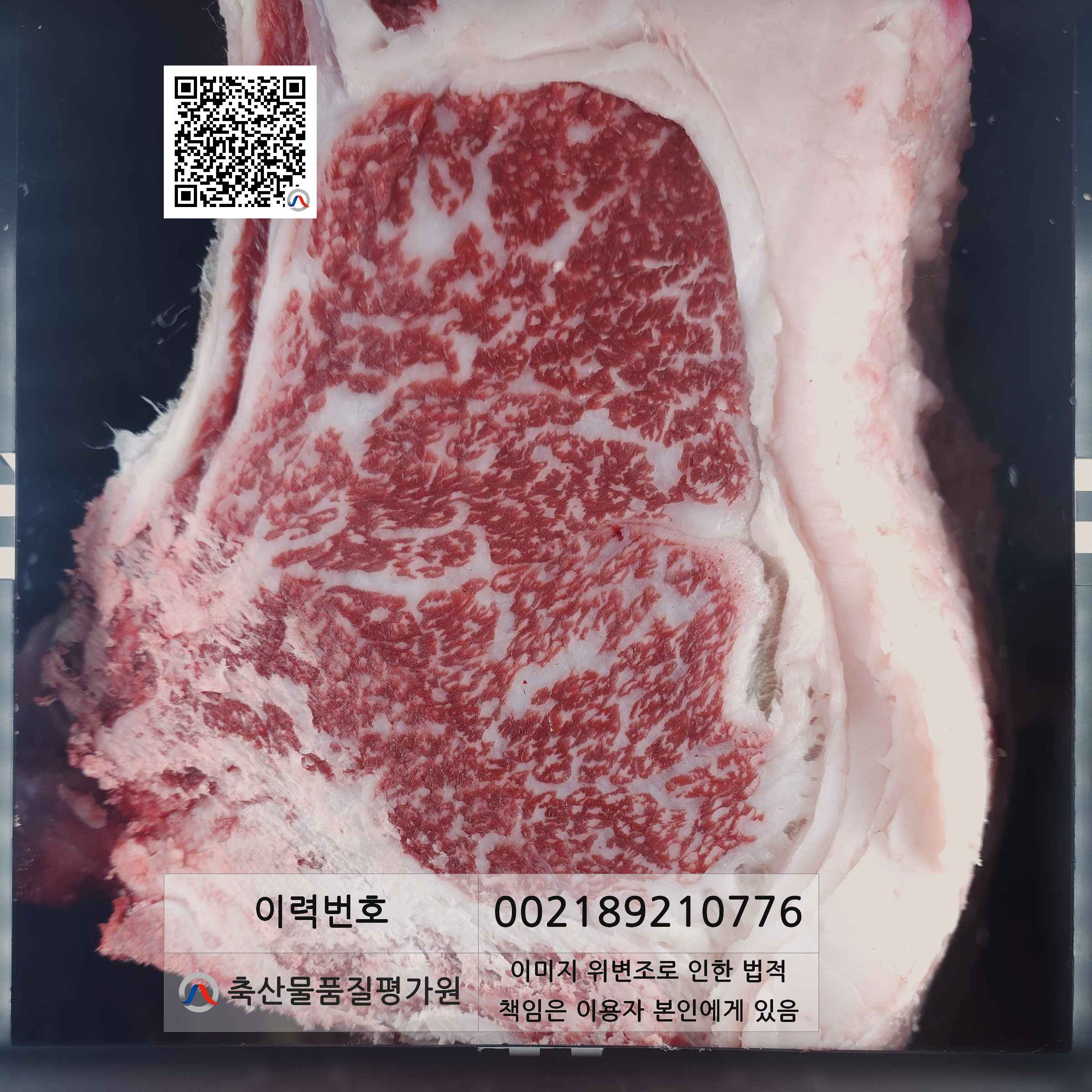 등심단면적 사진