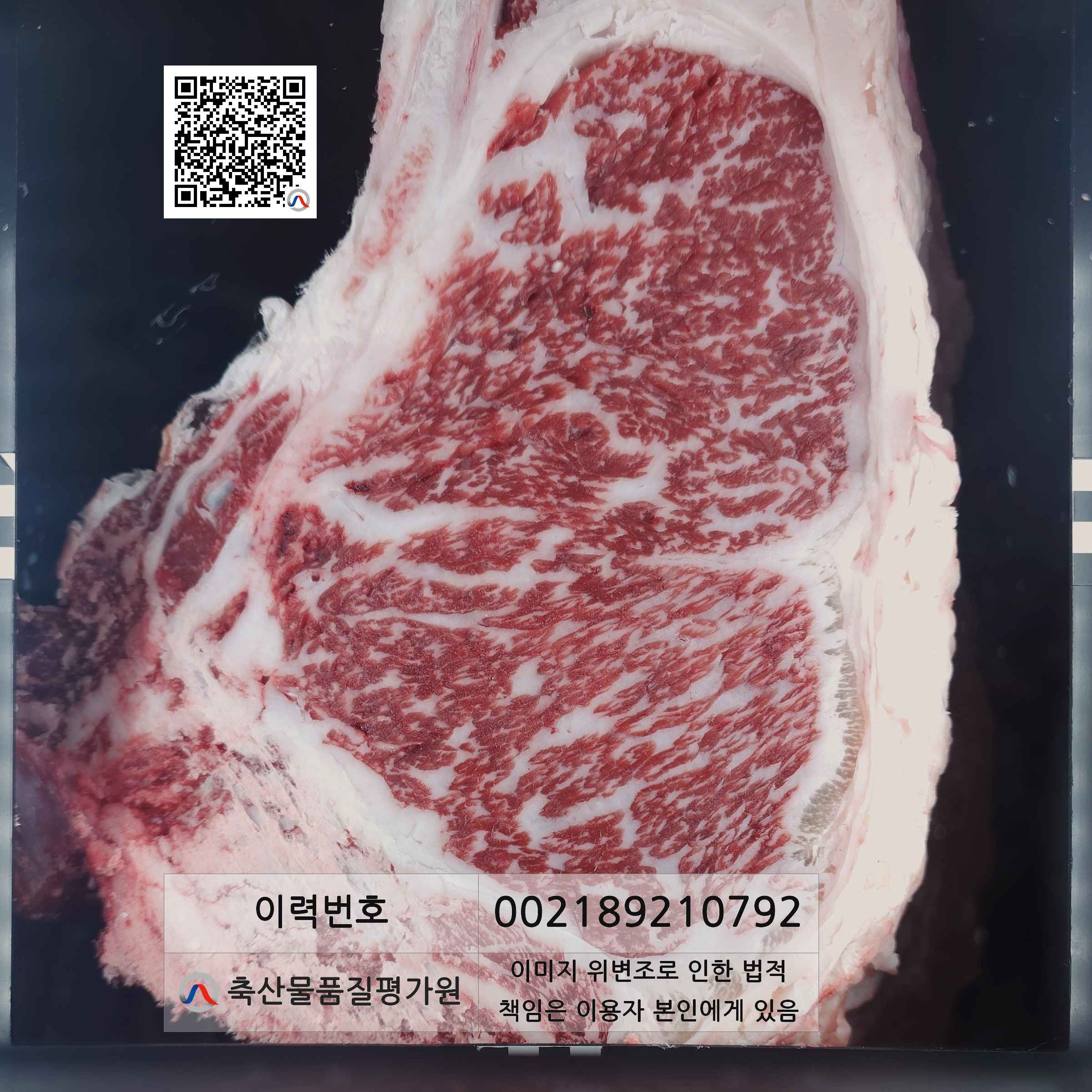 등심단면적 사진
