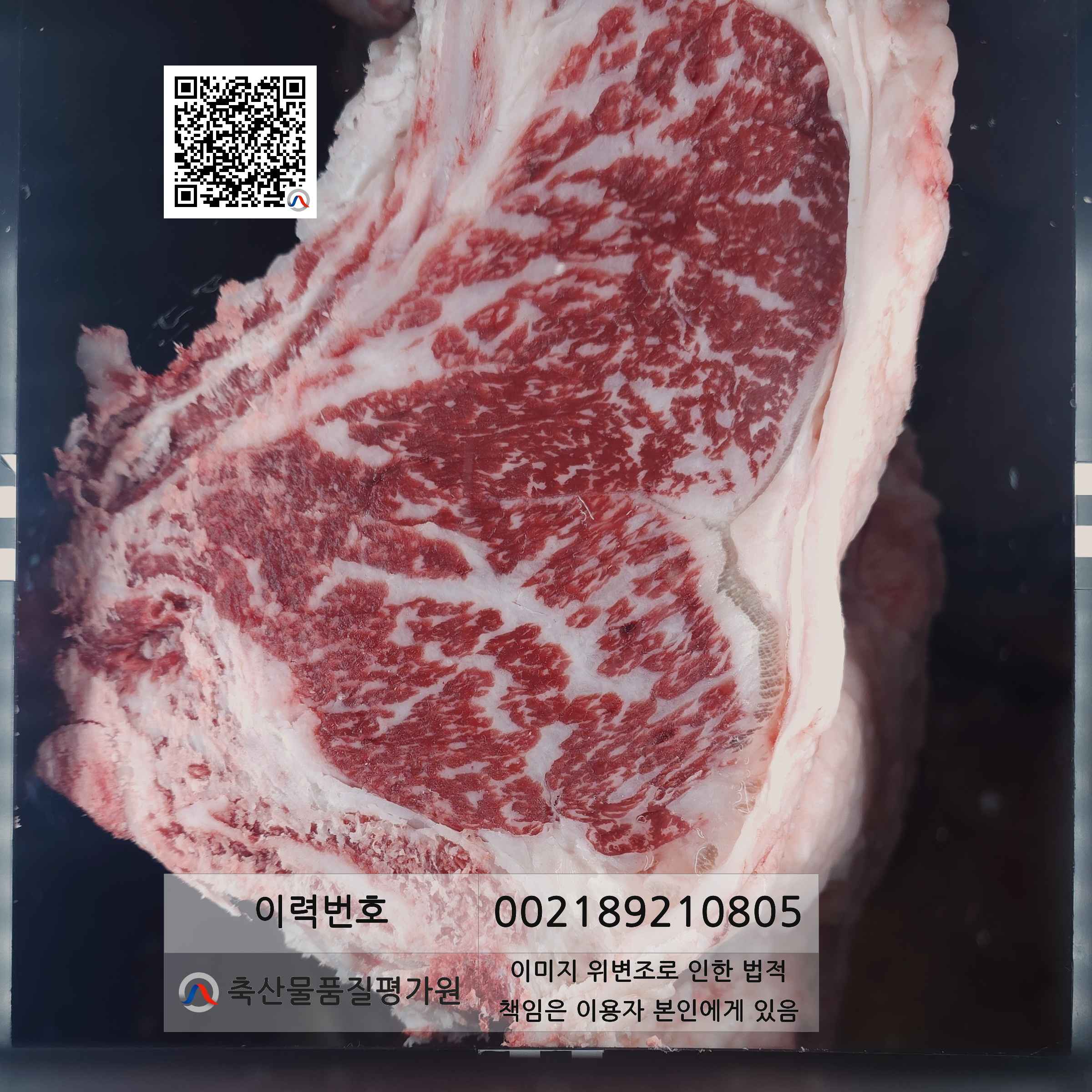 등심단면적 사진