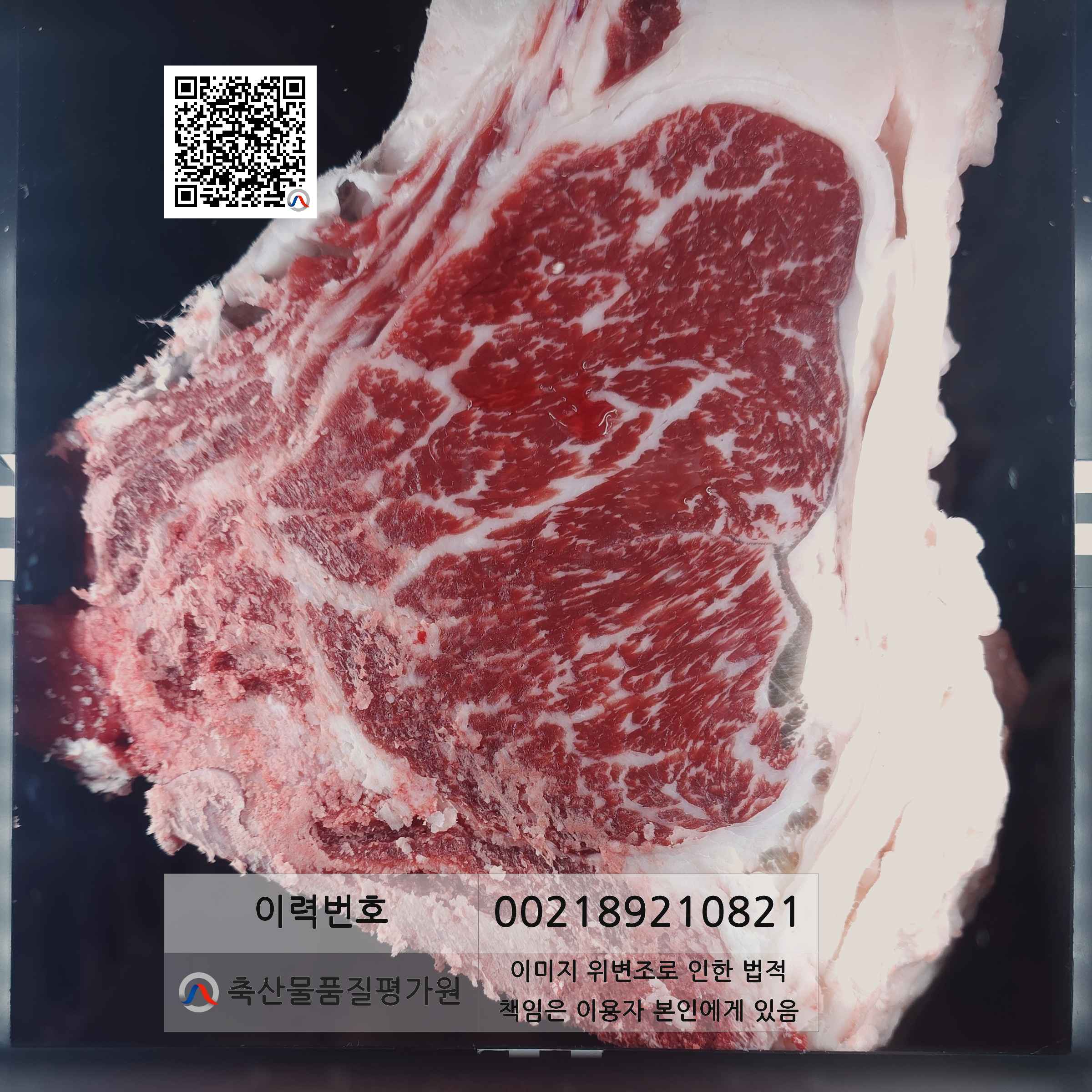 등심단면적 사진