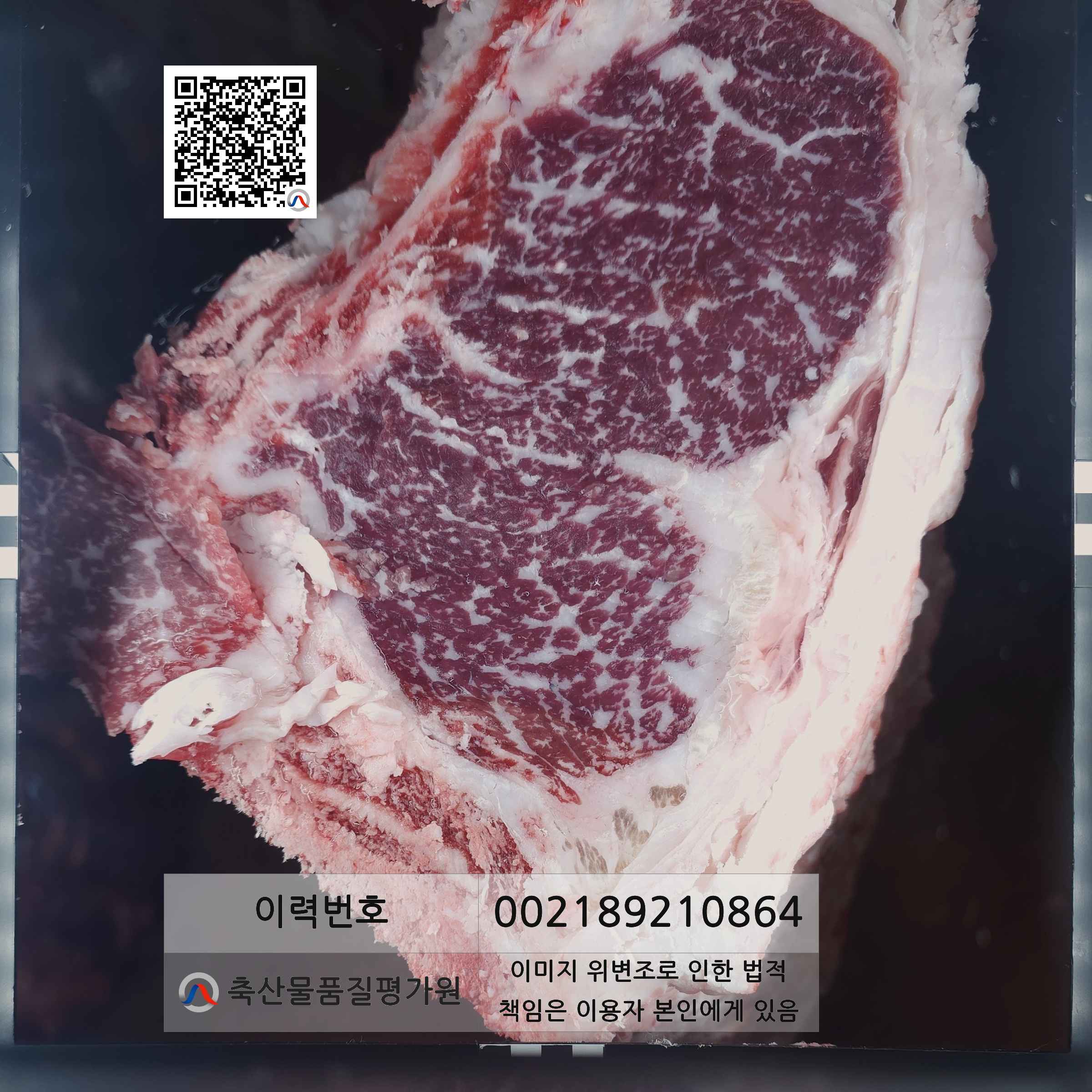 등심단면적 사진