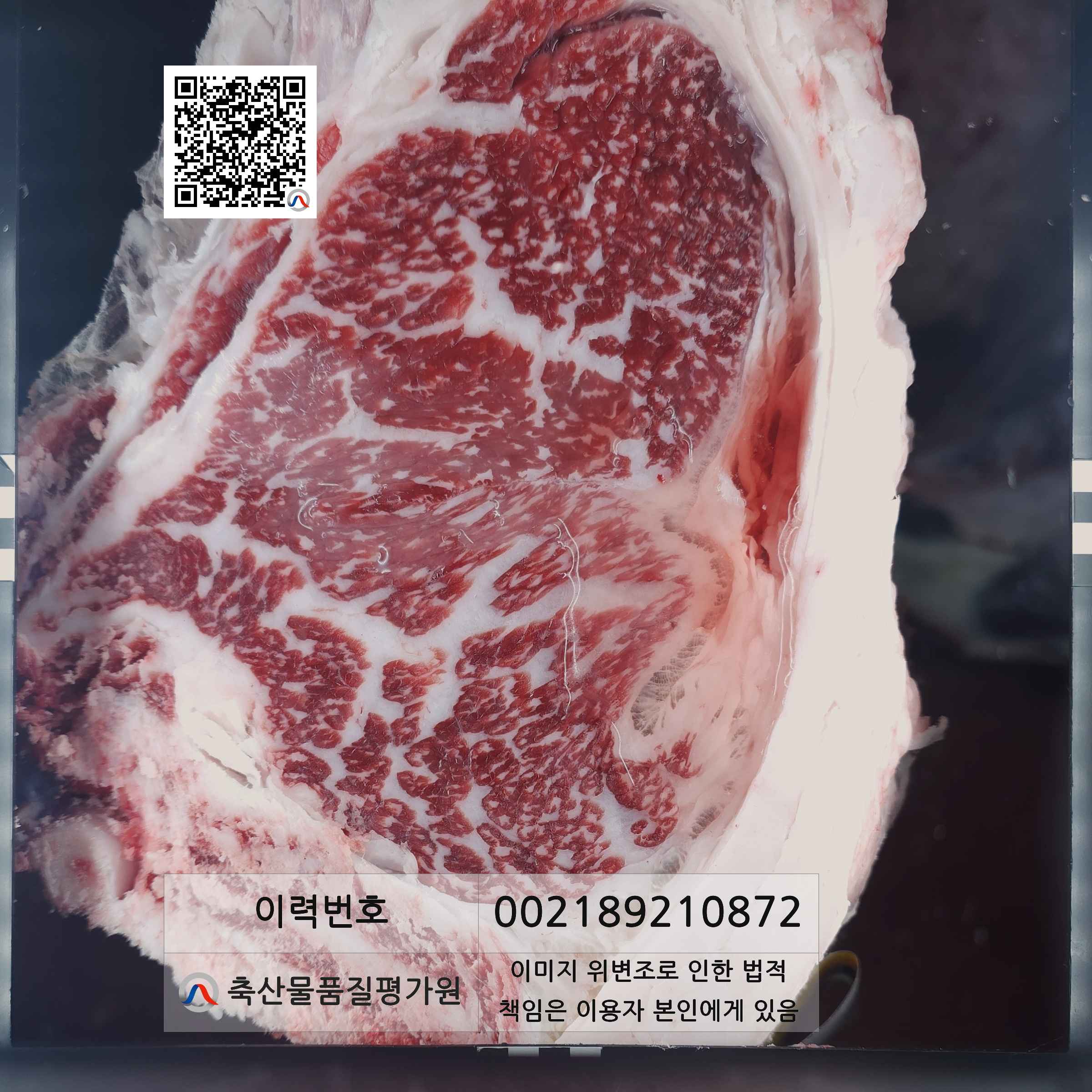등심단면적 사진
