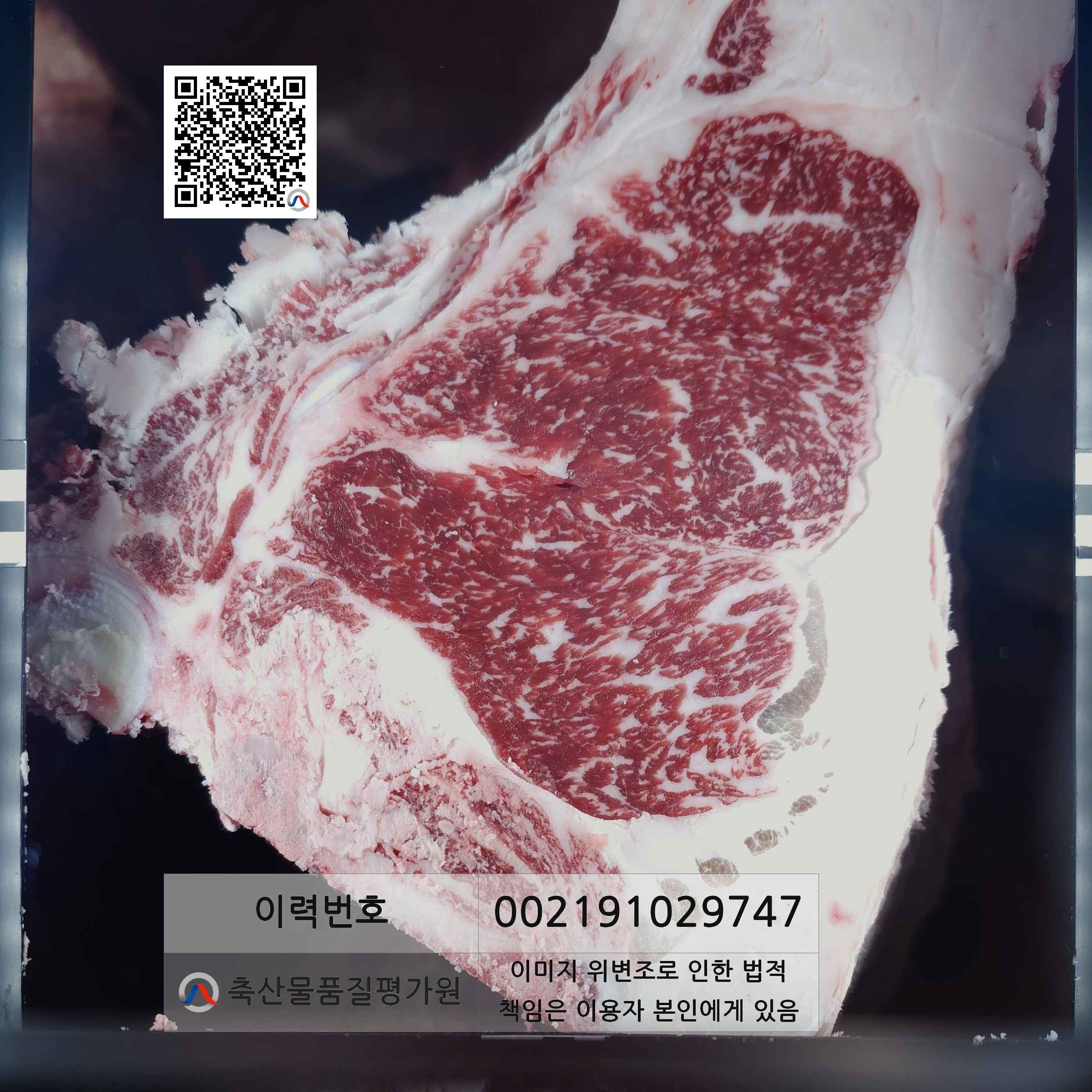 등심단면적 사진