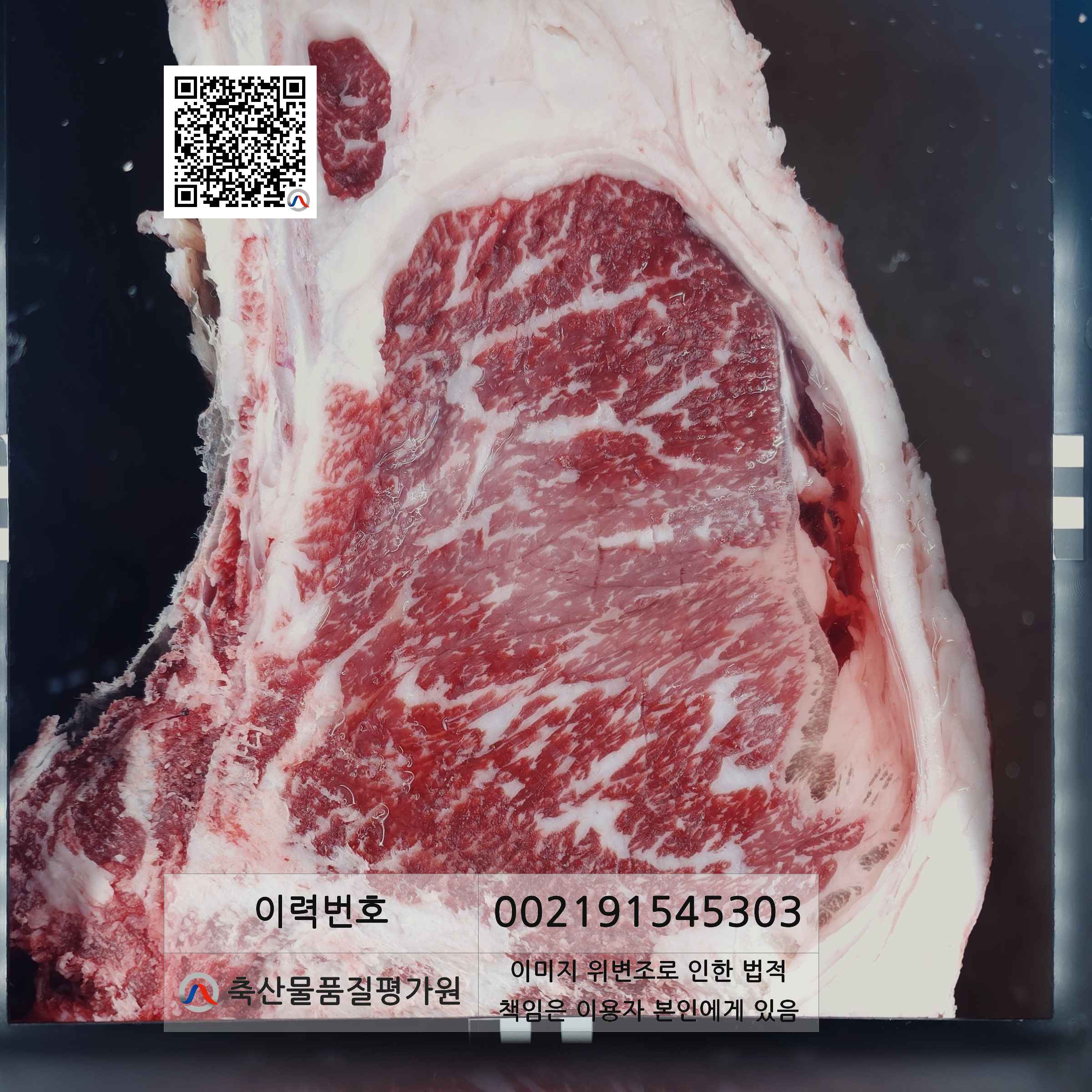 등심단면적 사진