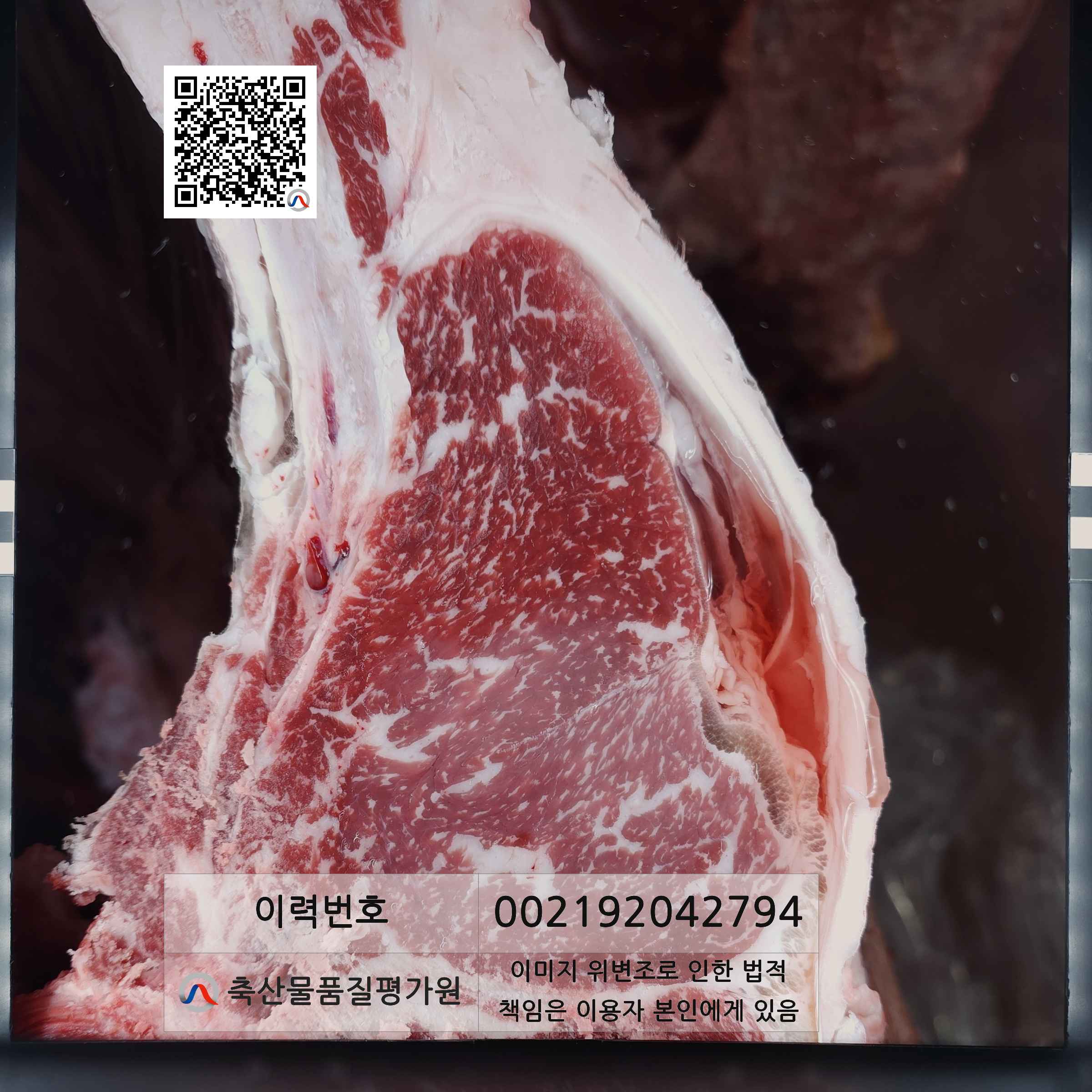 등심단면적 사진