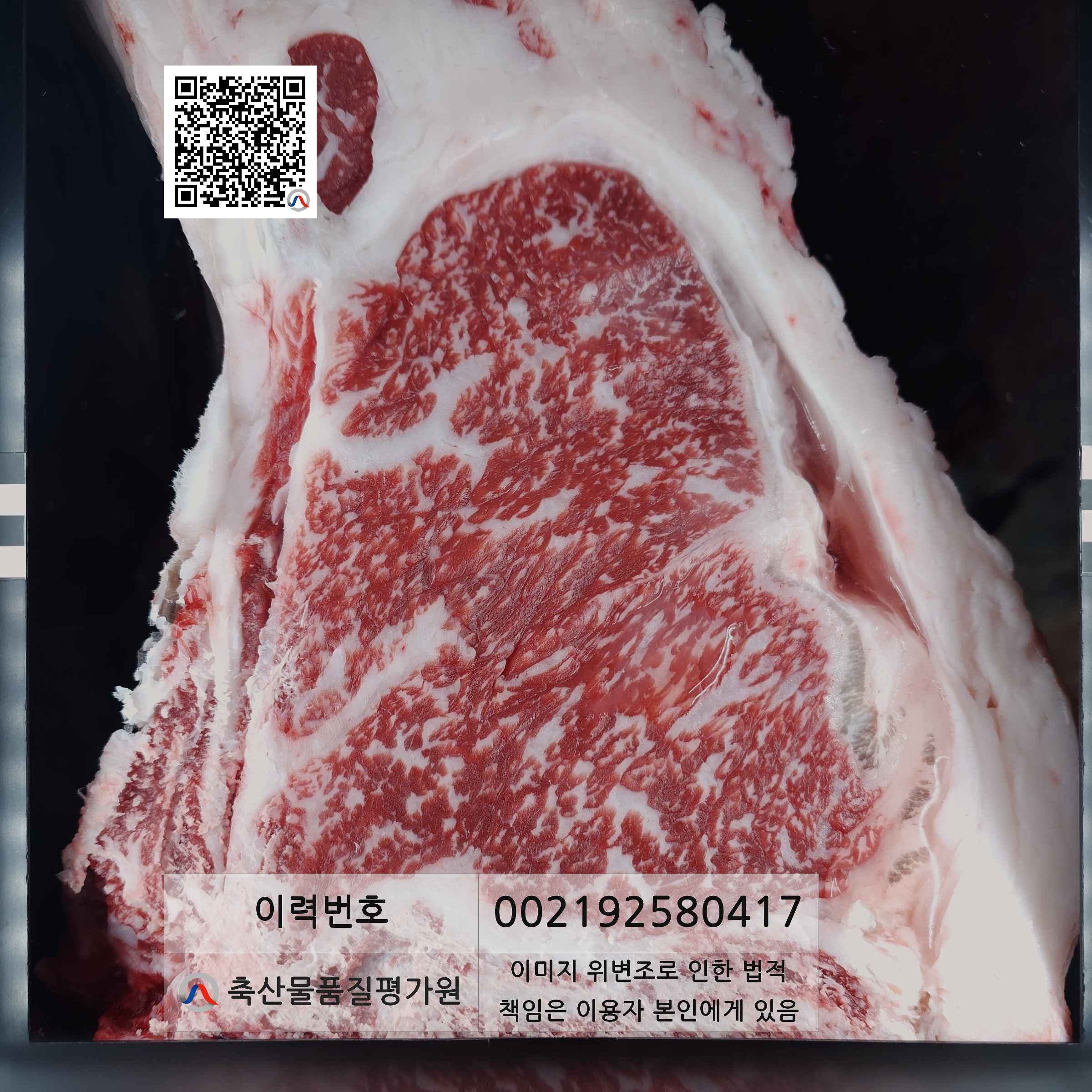 등심단면적 사진