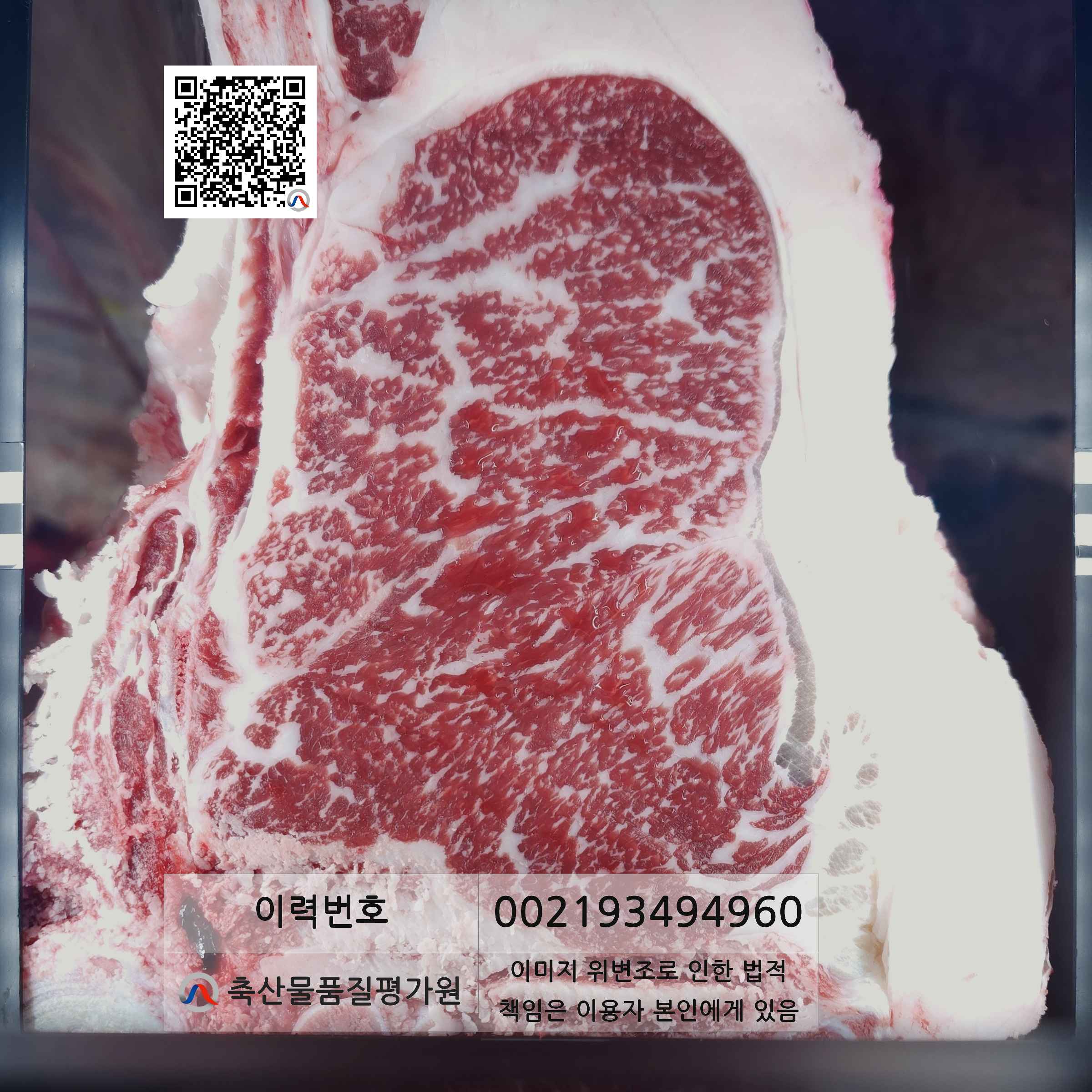 등심단면적 사진
