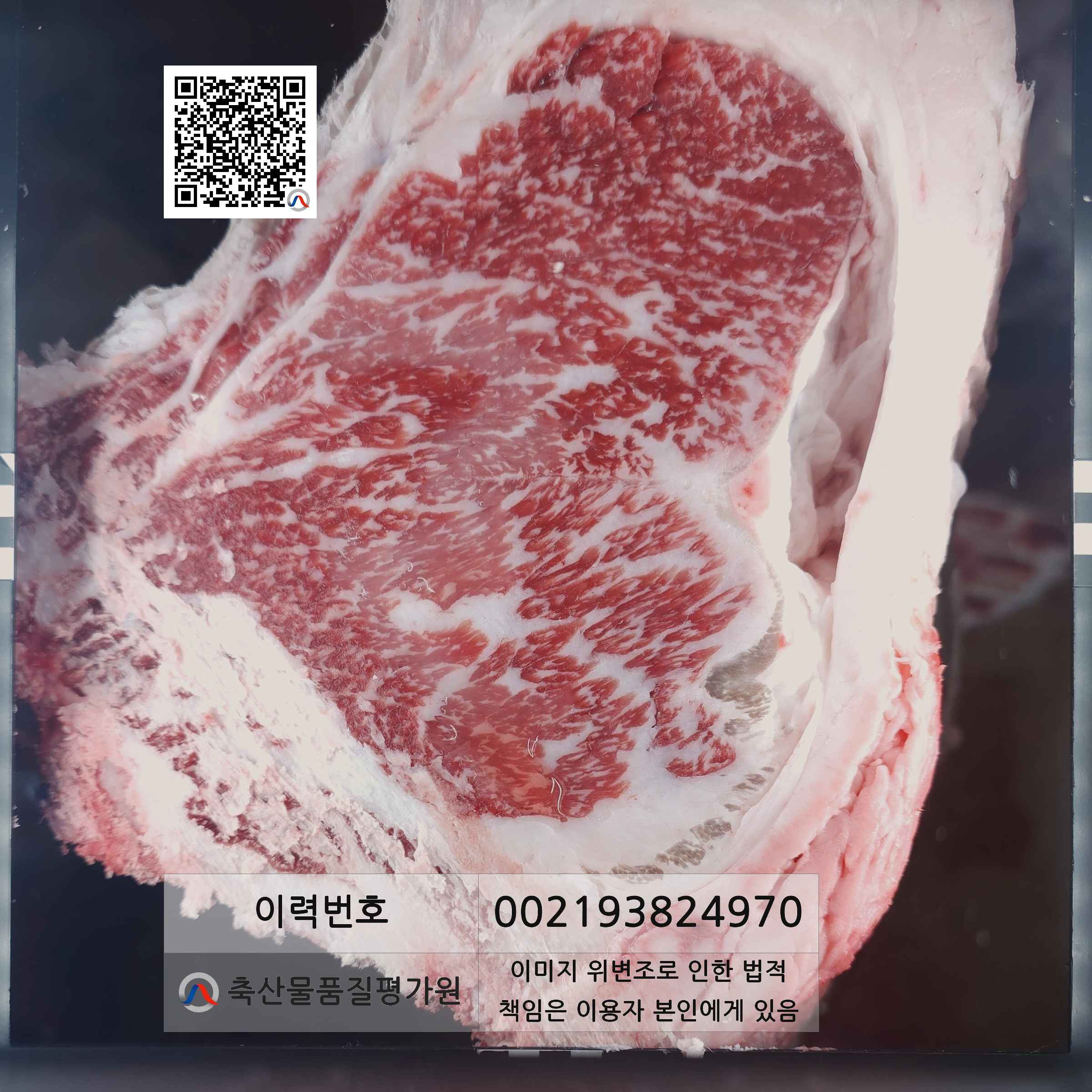 등심단면적 사진