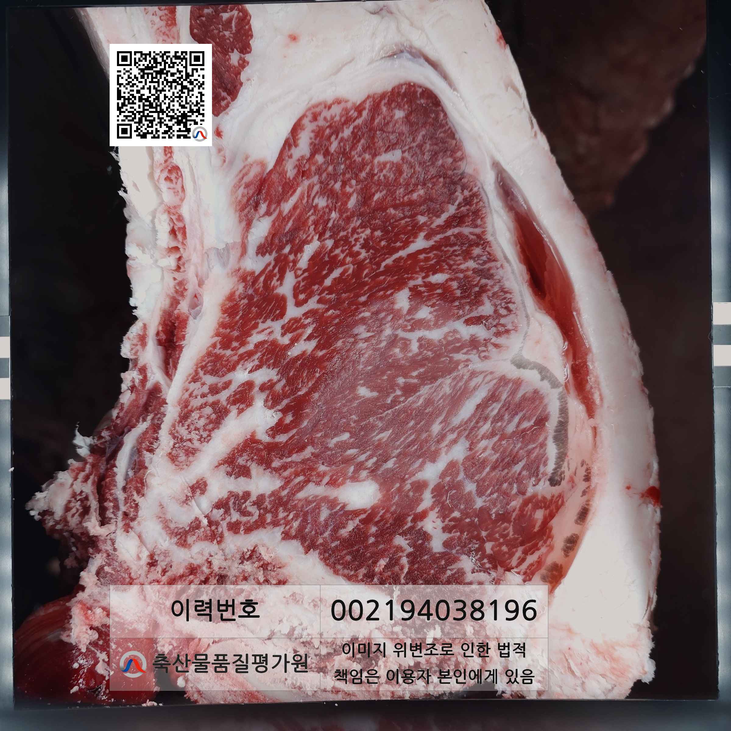 등심단면적 사진
