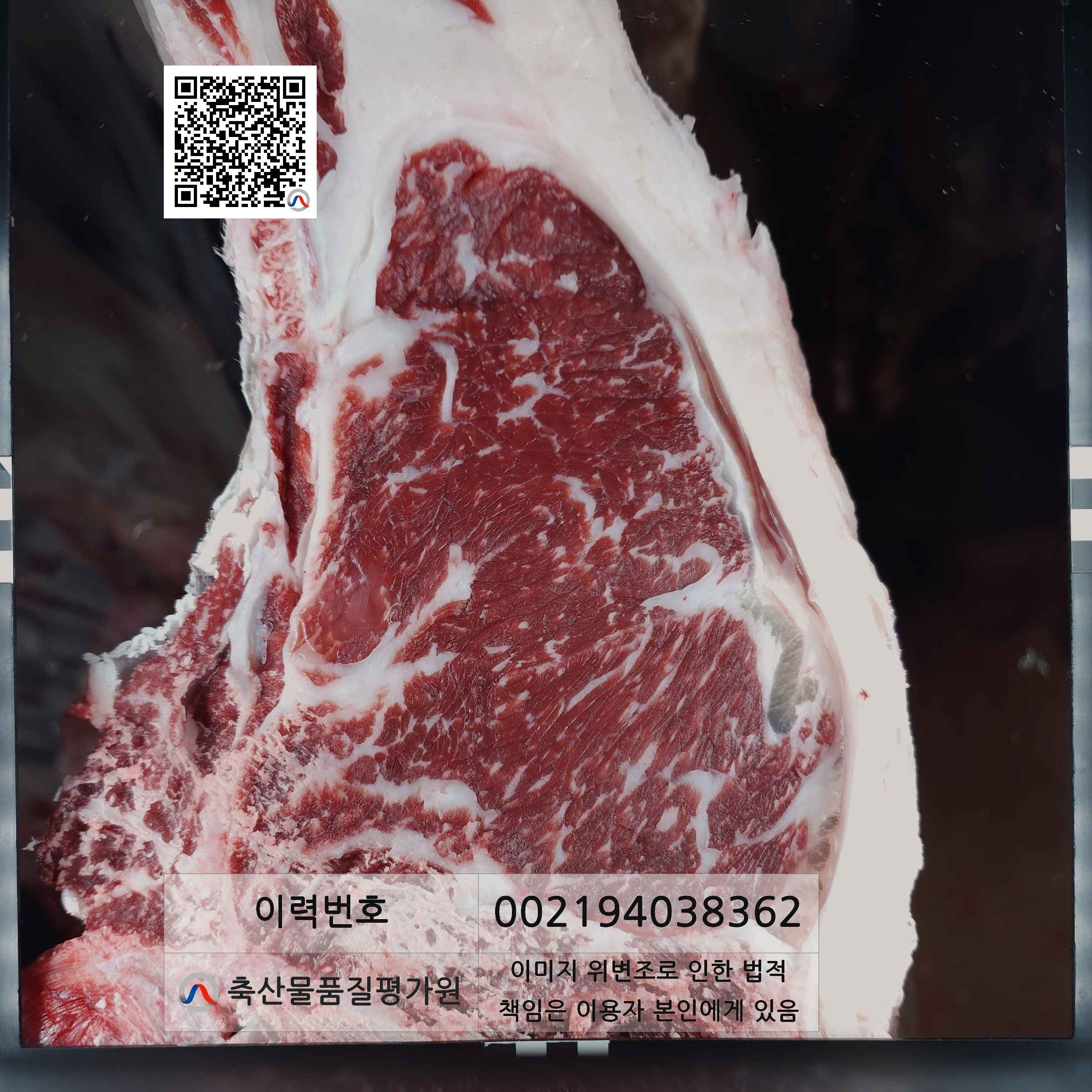 등심단면적 사진