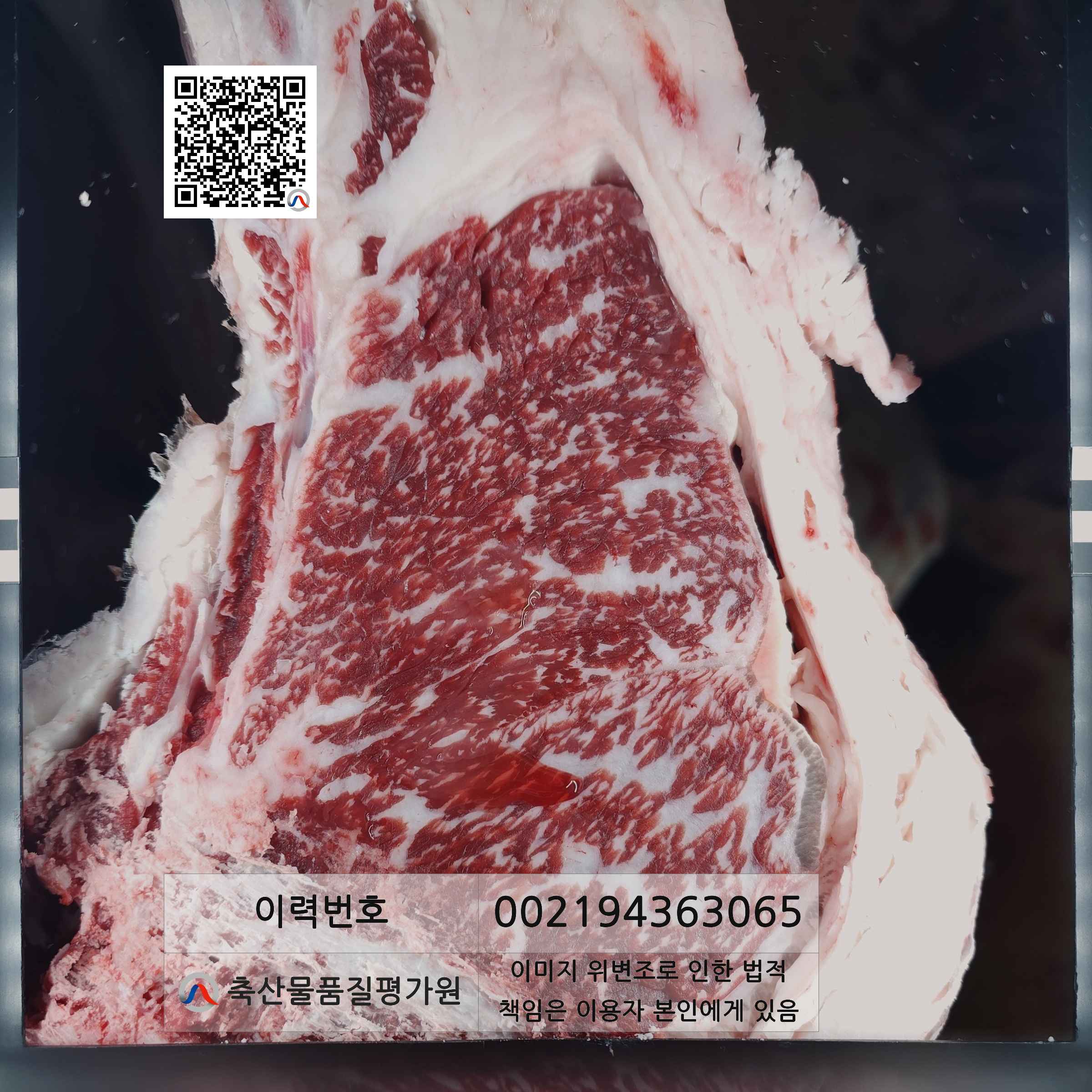 등심단면적 사진