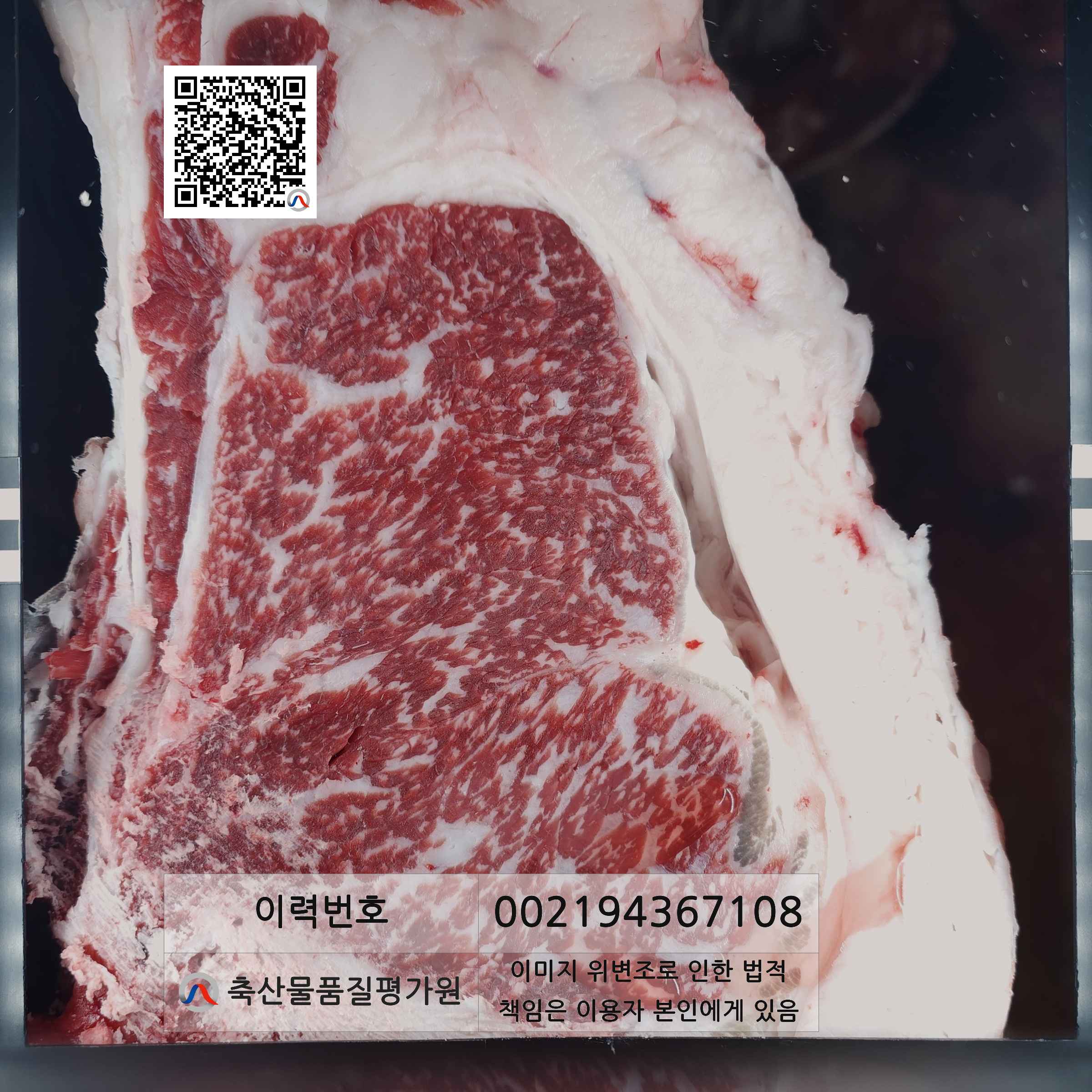등심단면적 사진