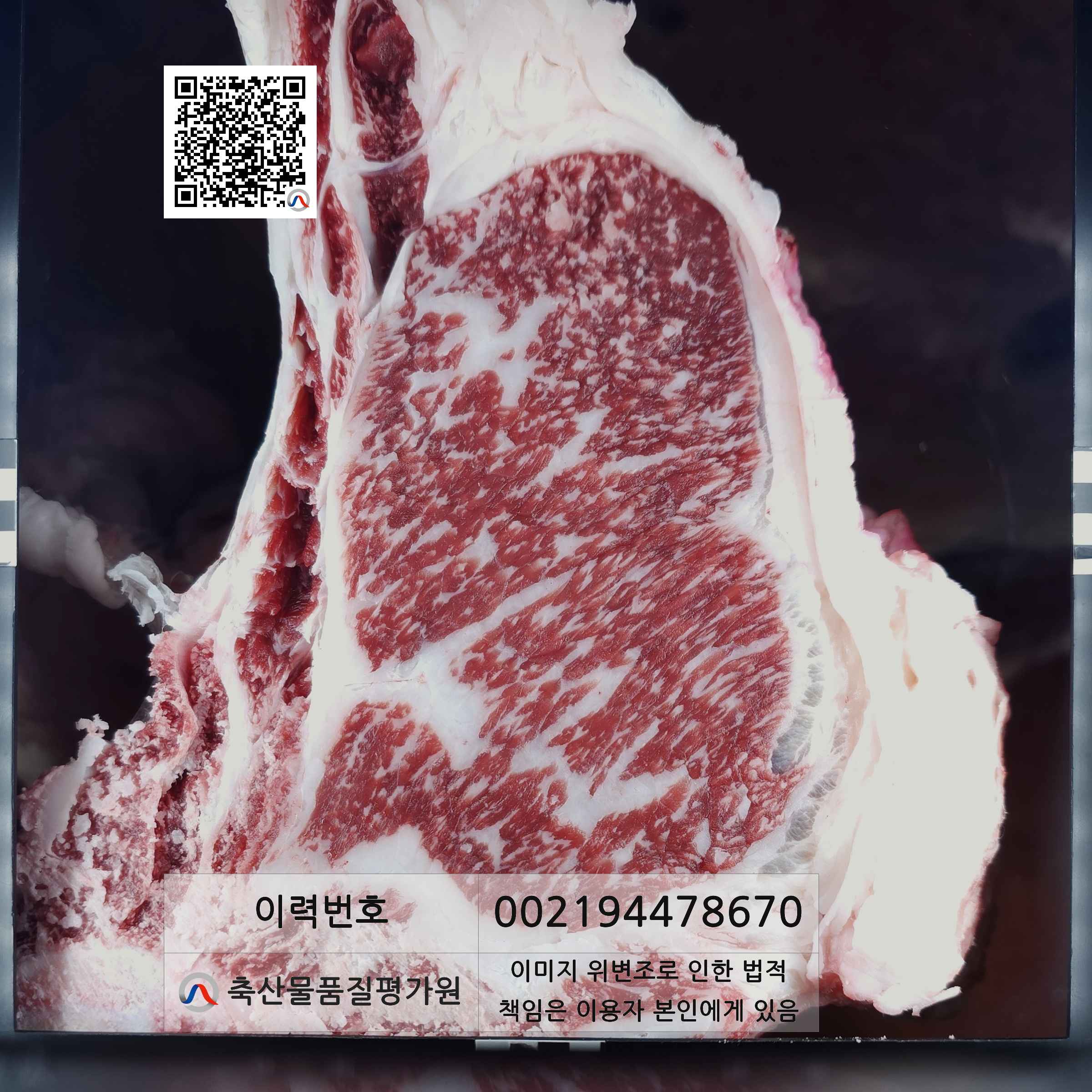 등심단면적 사진