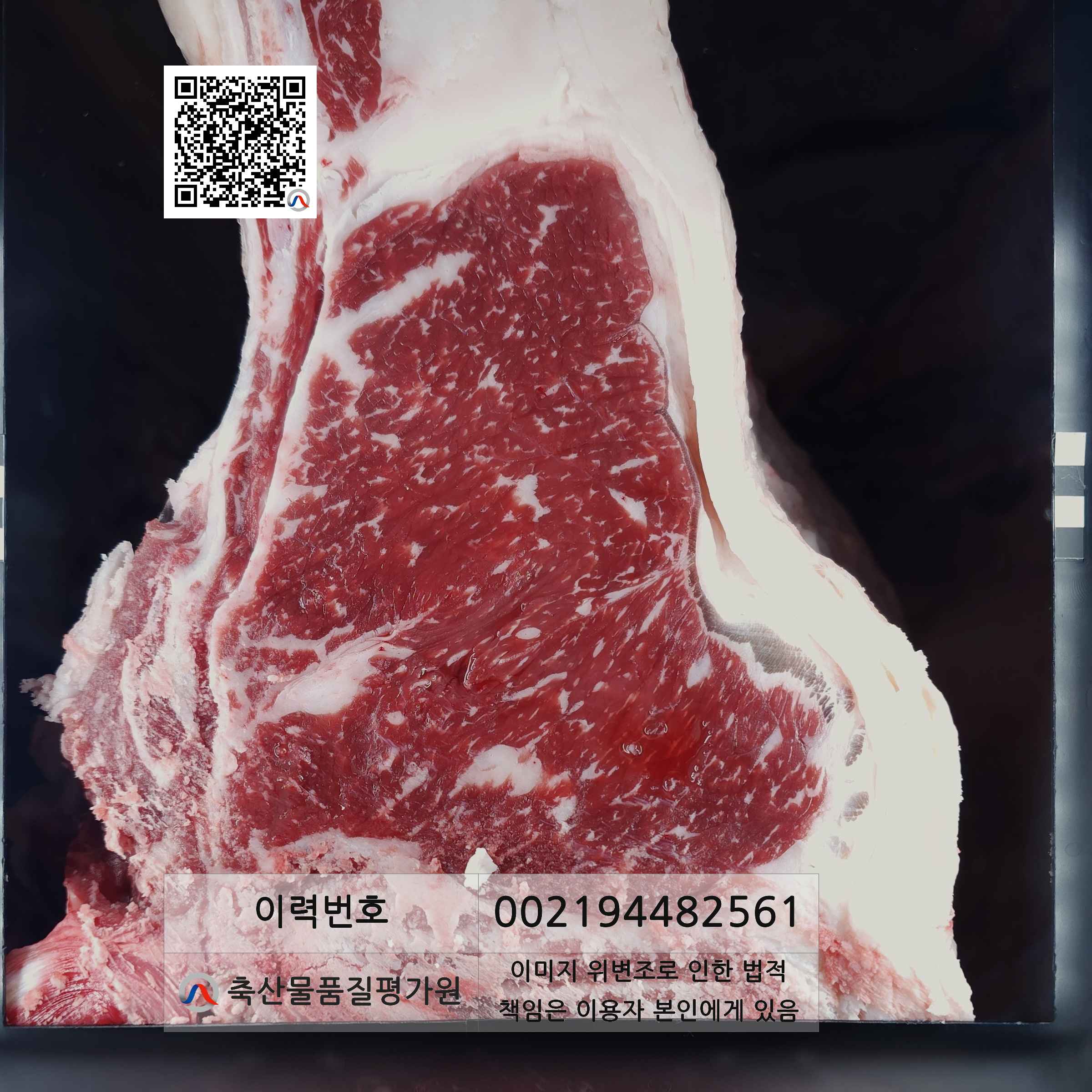 등심단면적 사진