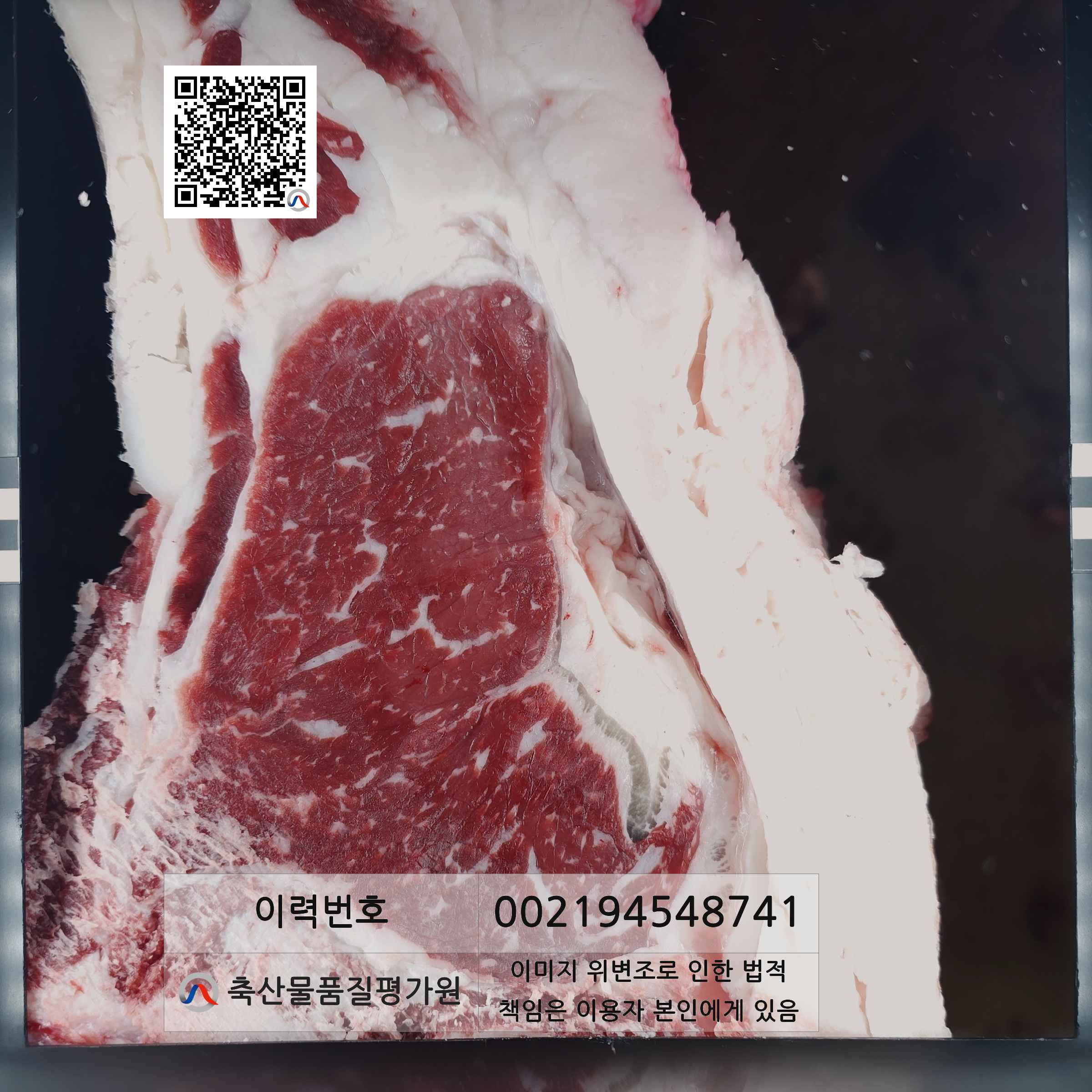 등심단면적 사진