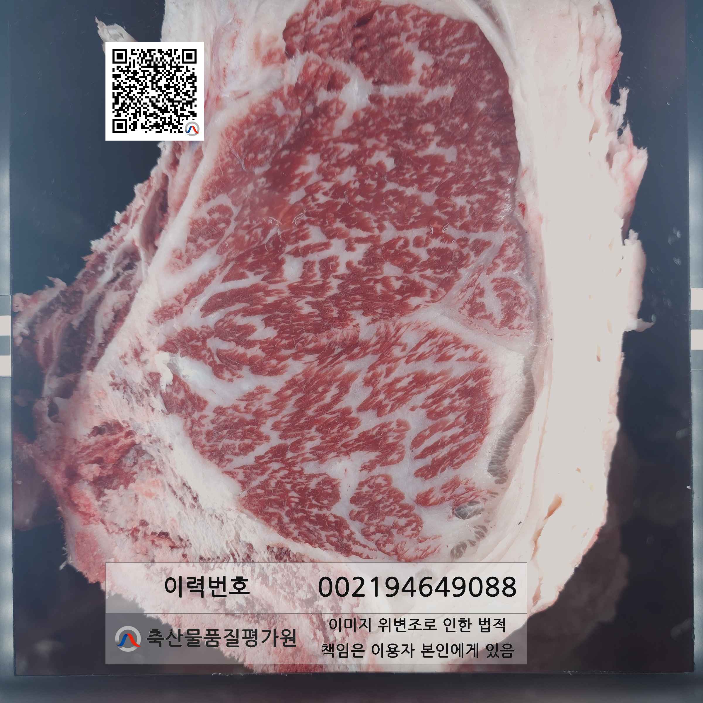 등심단면적 사진
