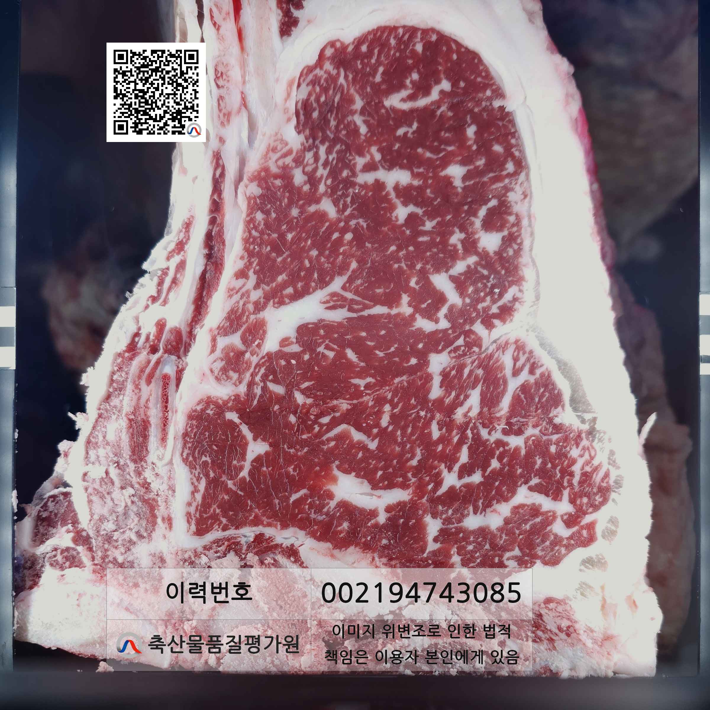 등심단면적 사진