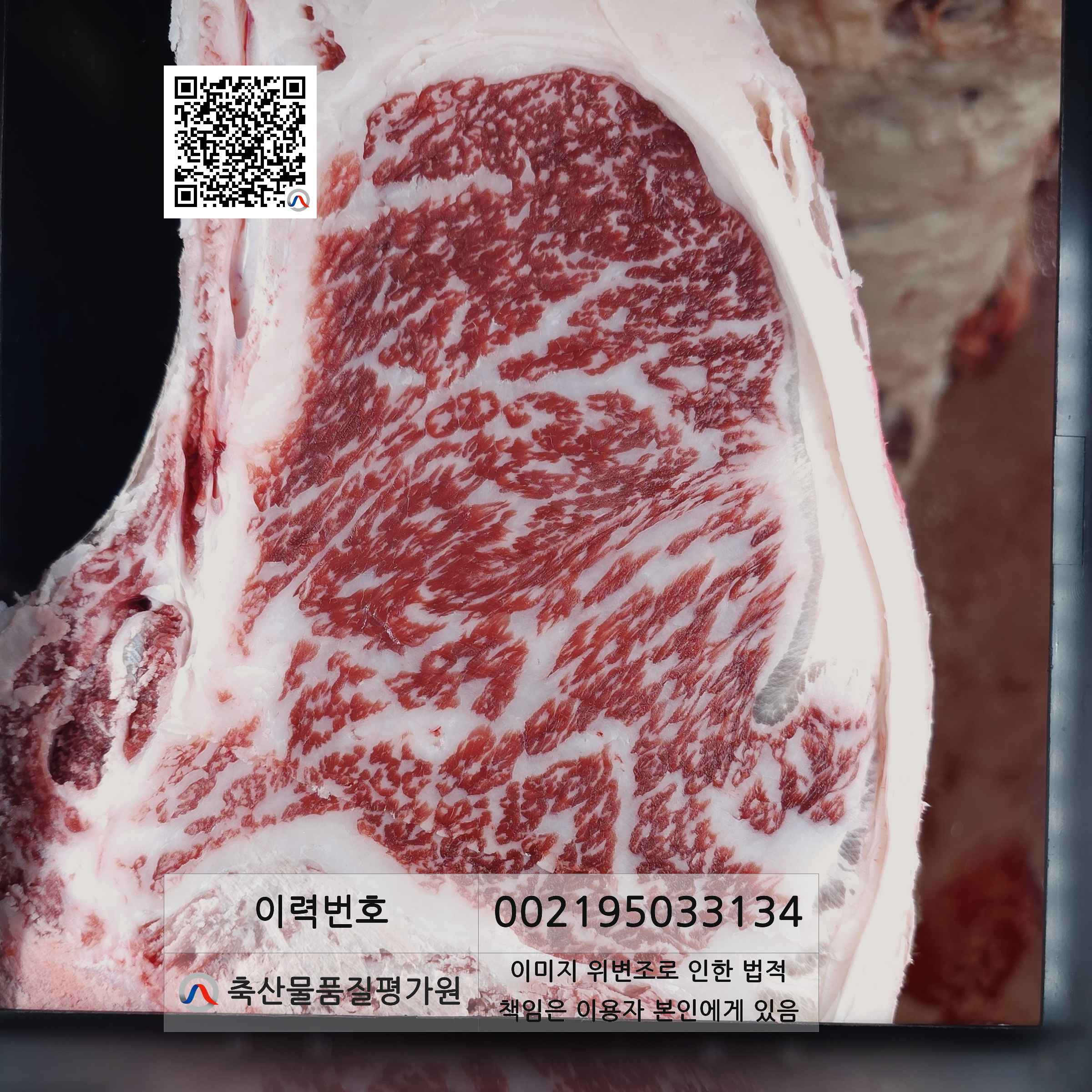 등심단면적 사진