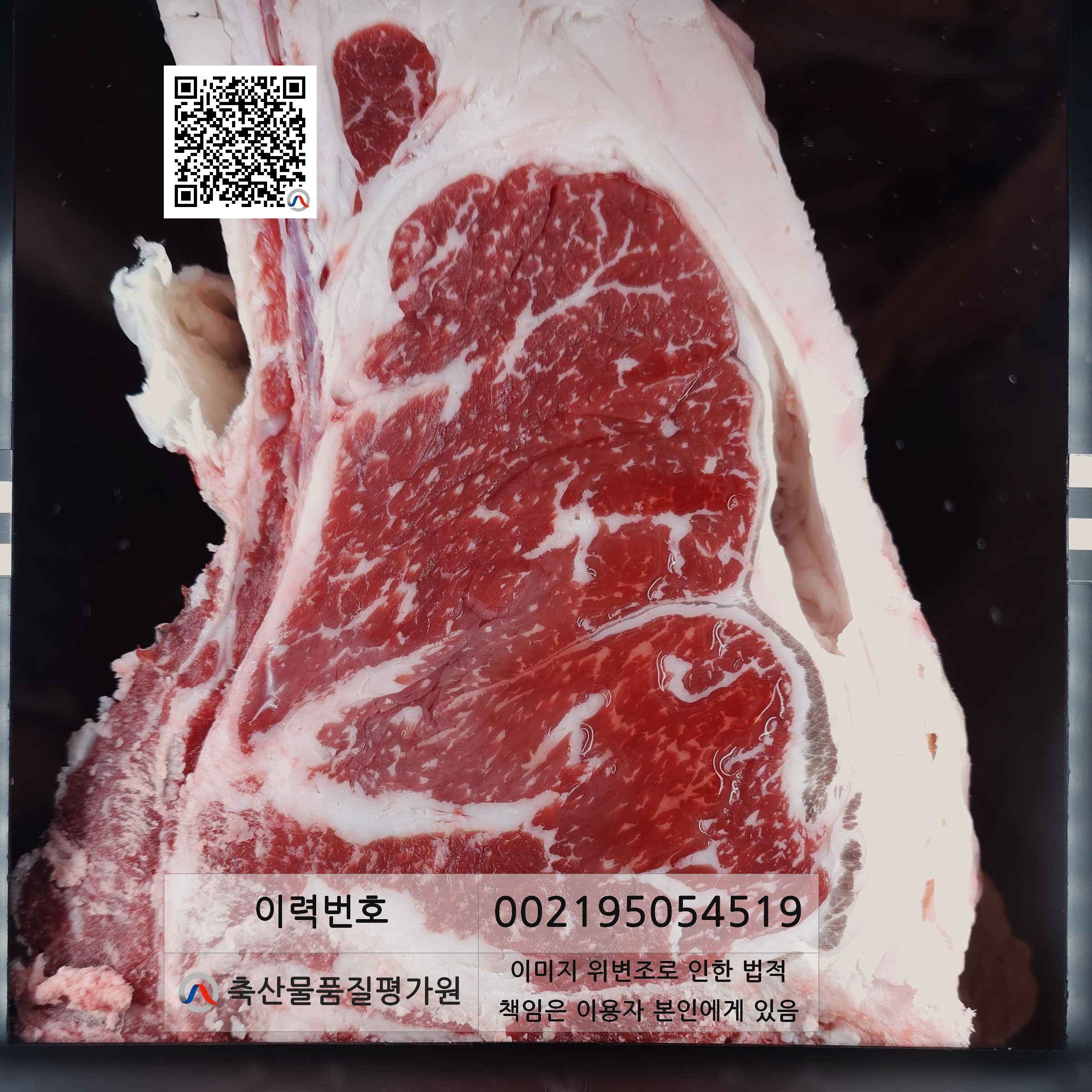 등심단면적 사진