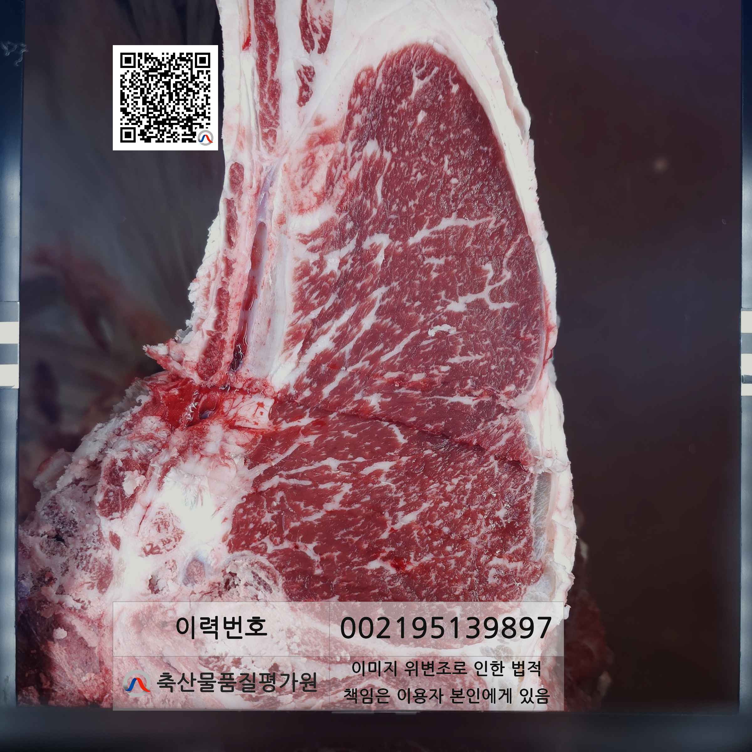 등심단면적 사진