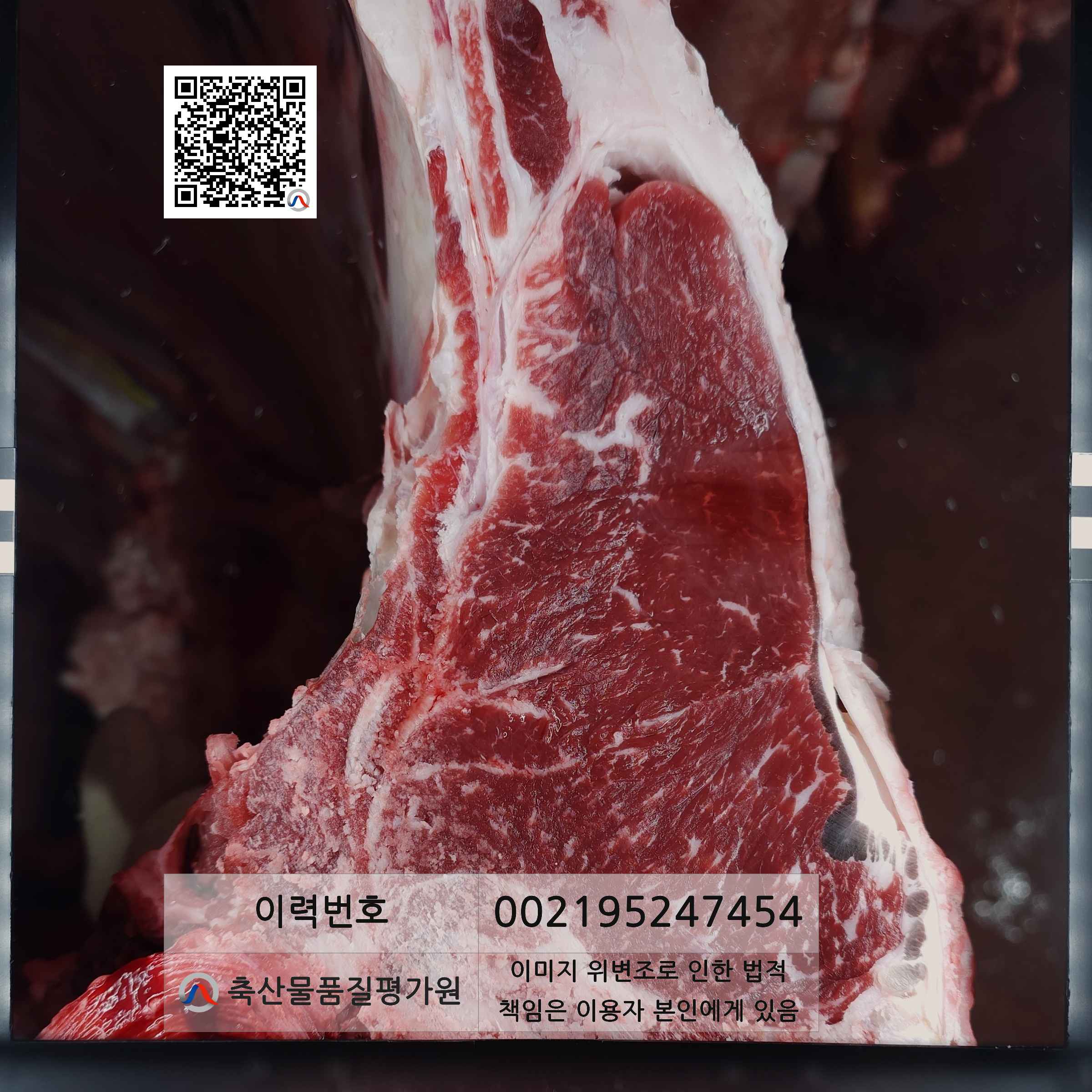 등심단면적 사진