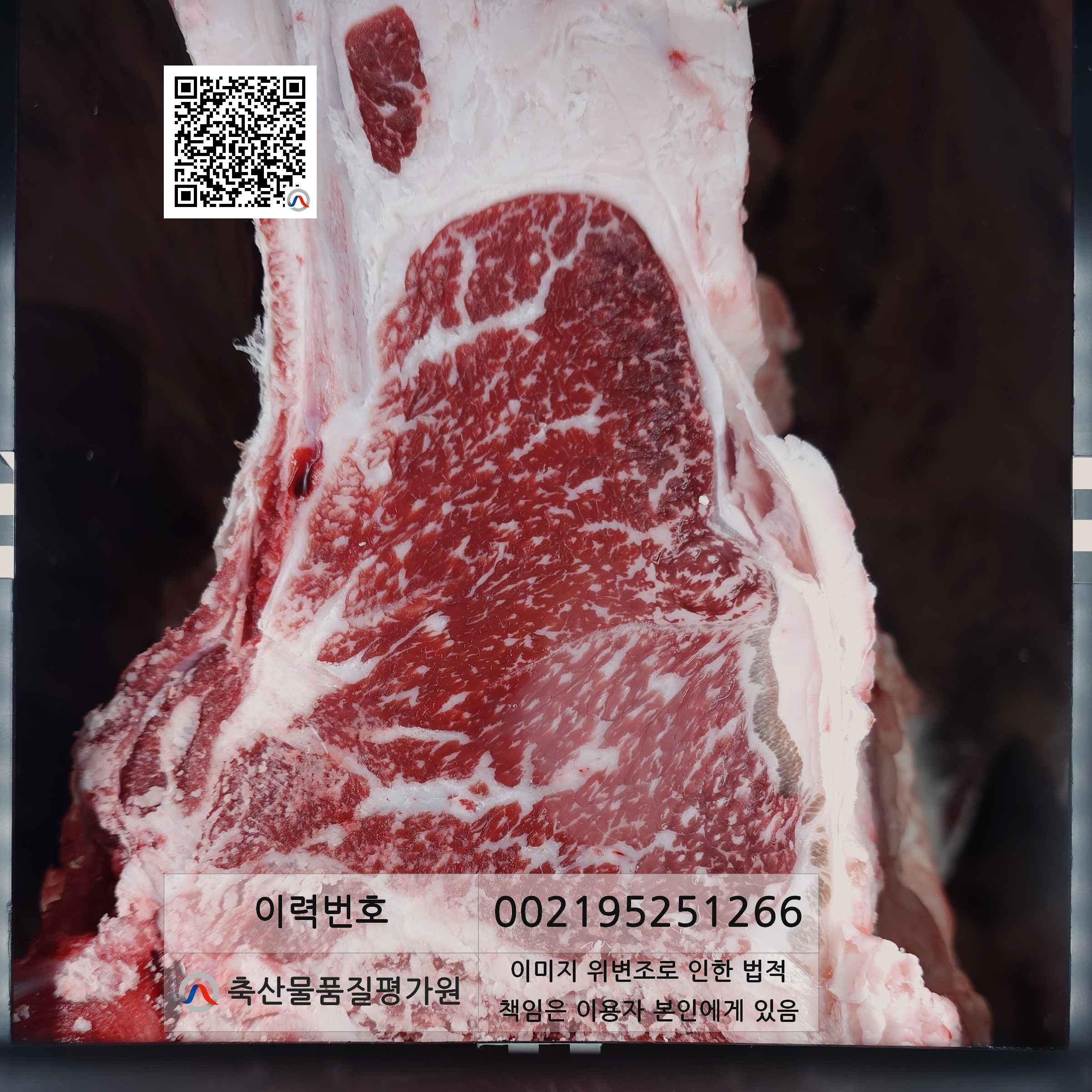 등심단면적 사진