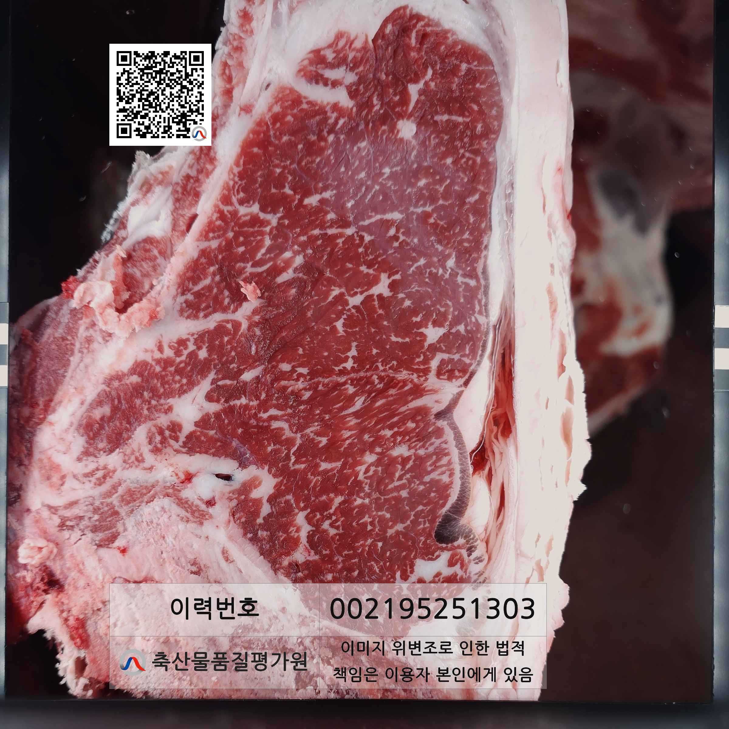 등심단면적 사진