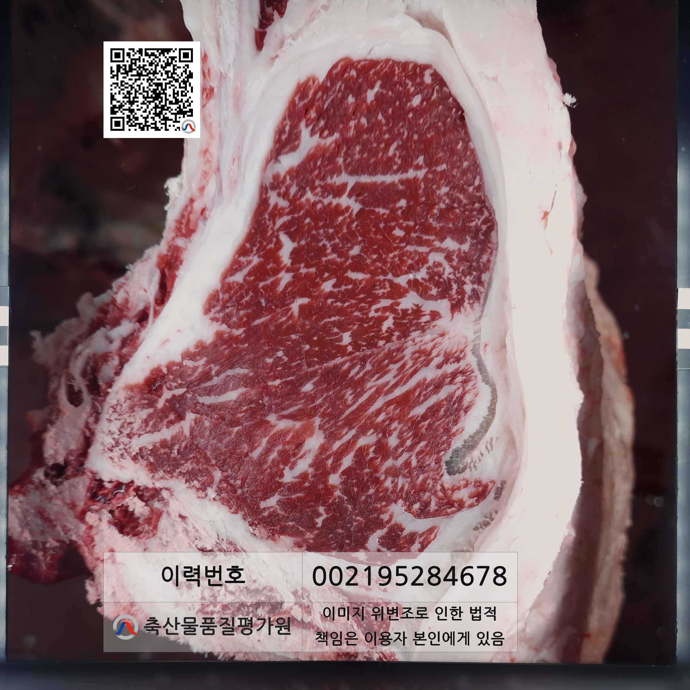 등심단면적 사진