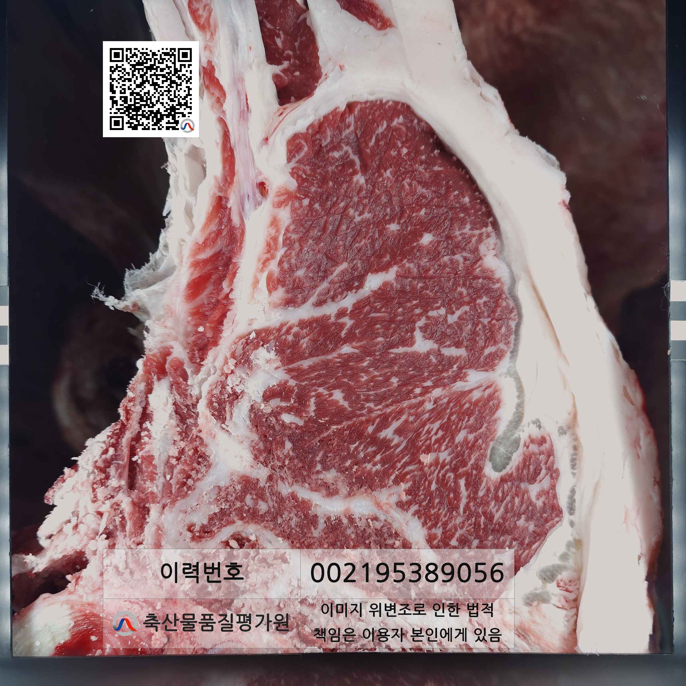 등심단면적 사진
