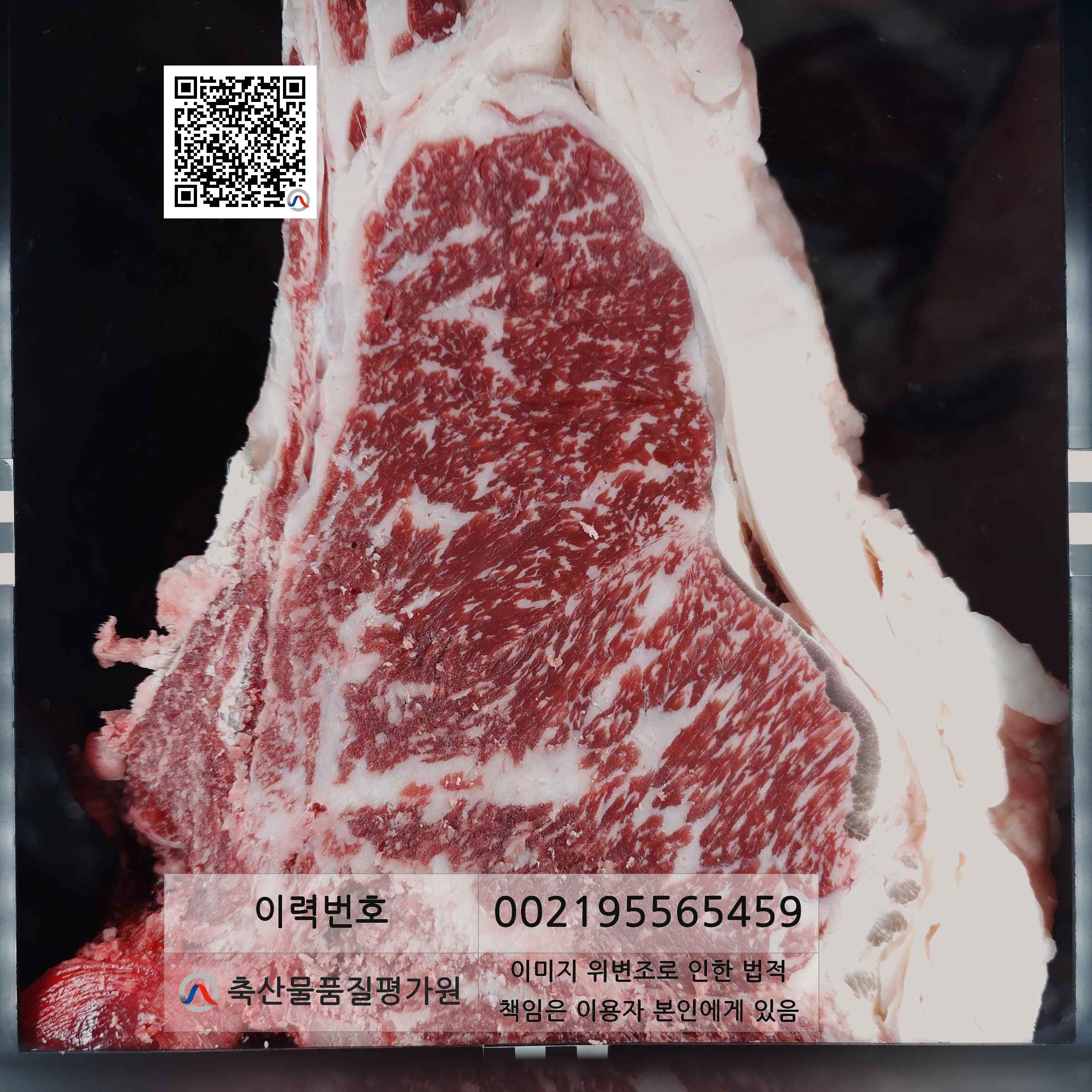 등심단면적 사진