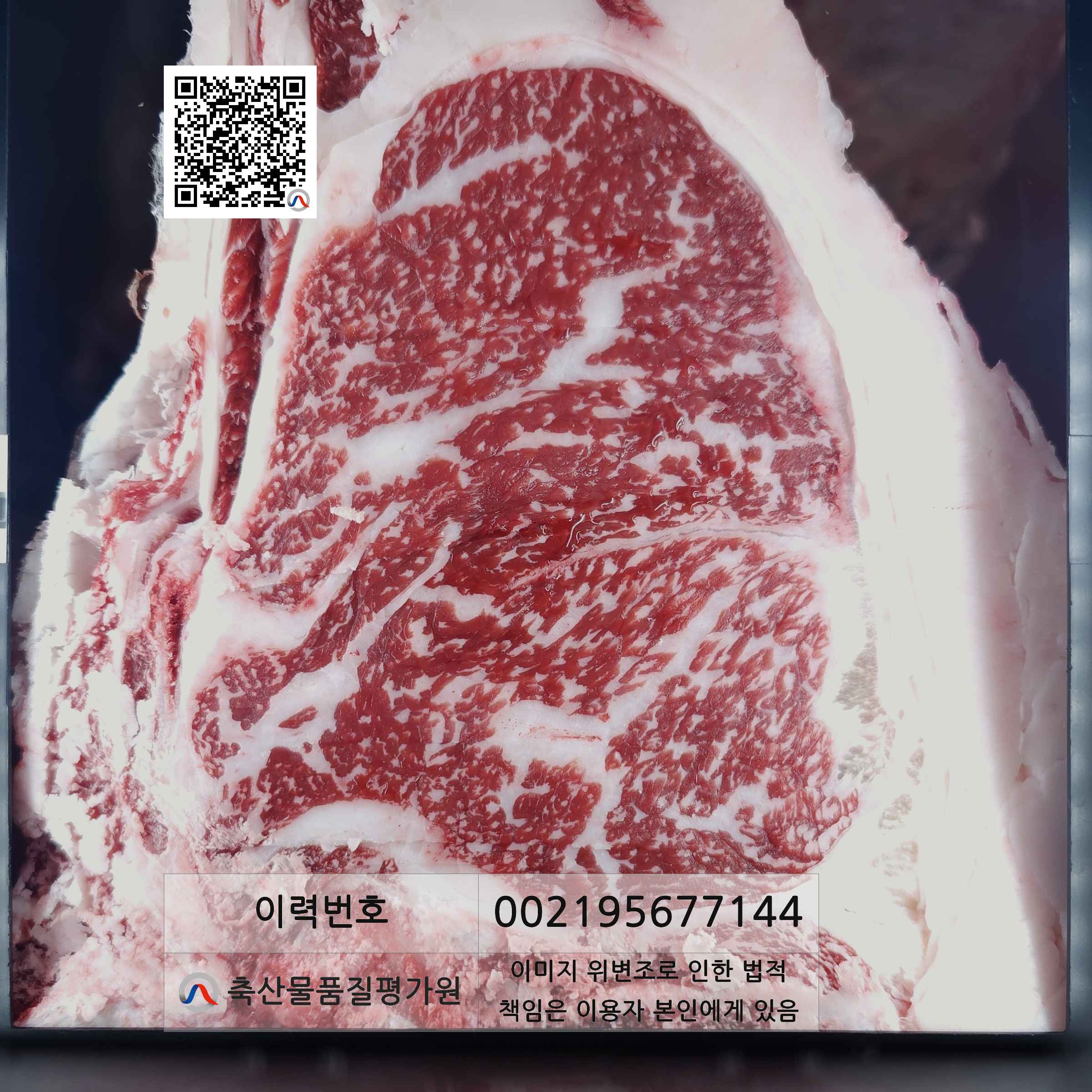 등심단면적 사진