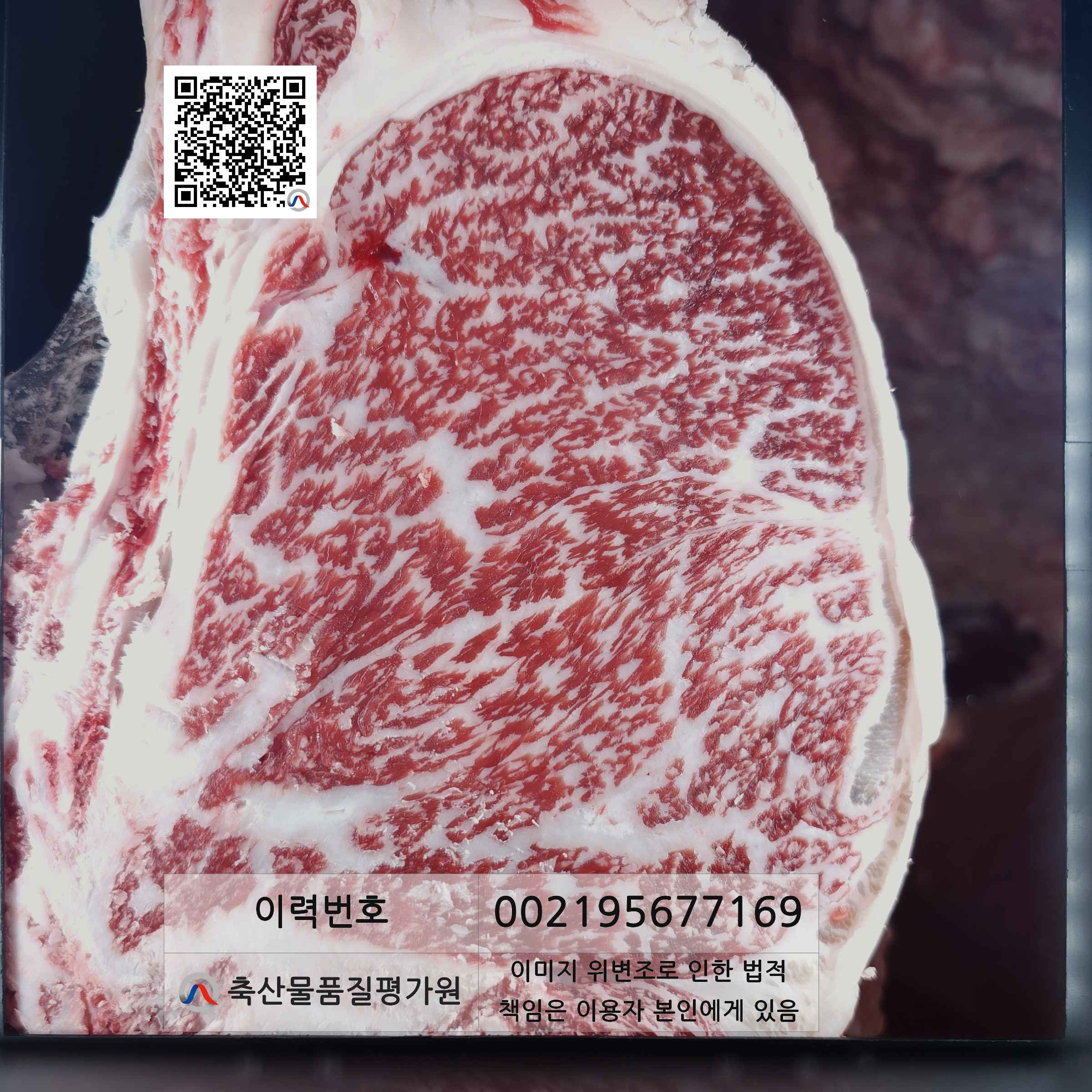 등심단면적 사진