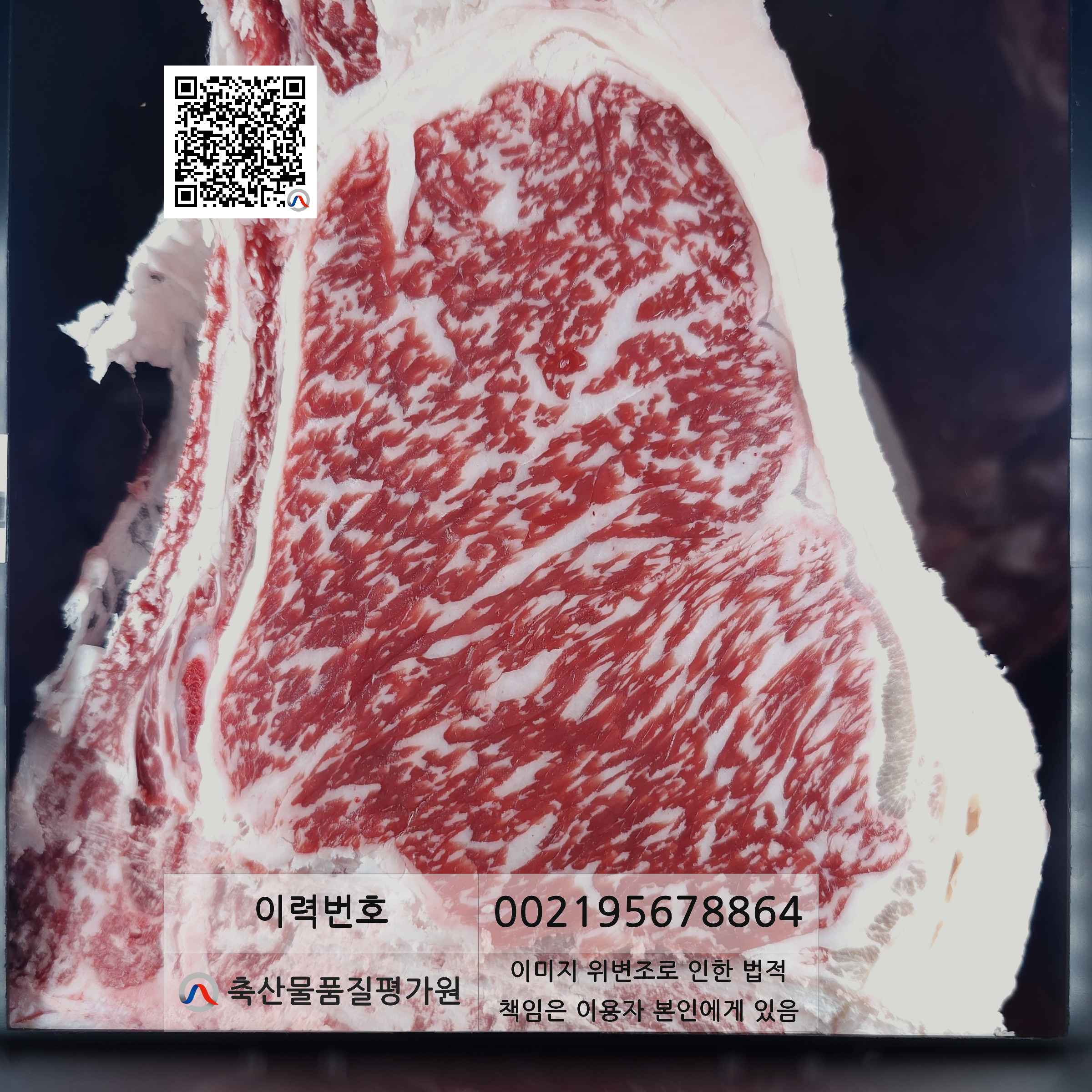 등심단면적 사진