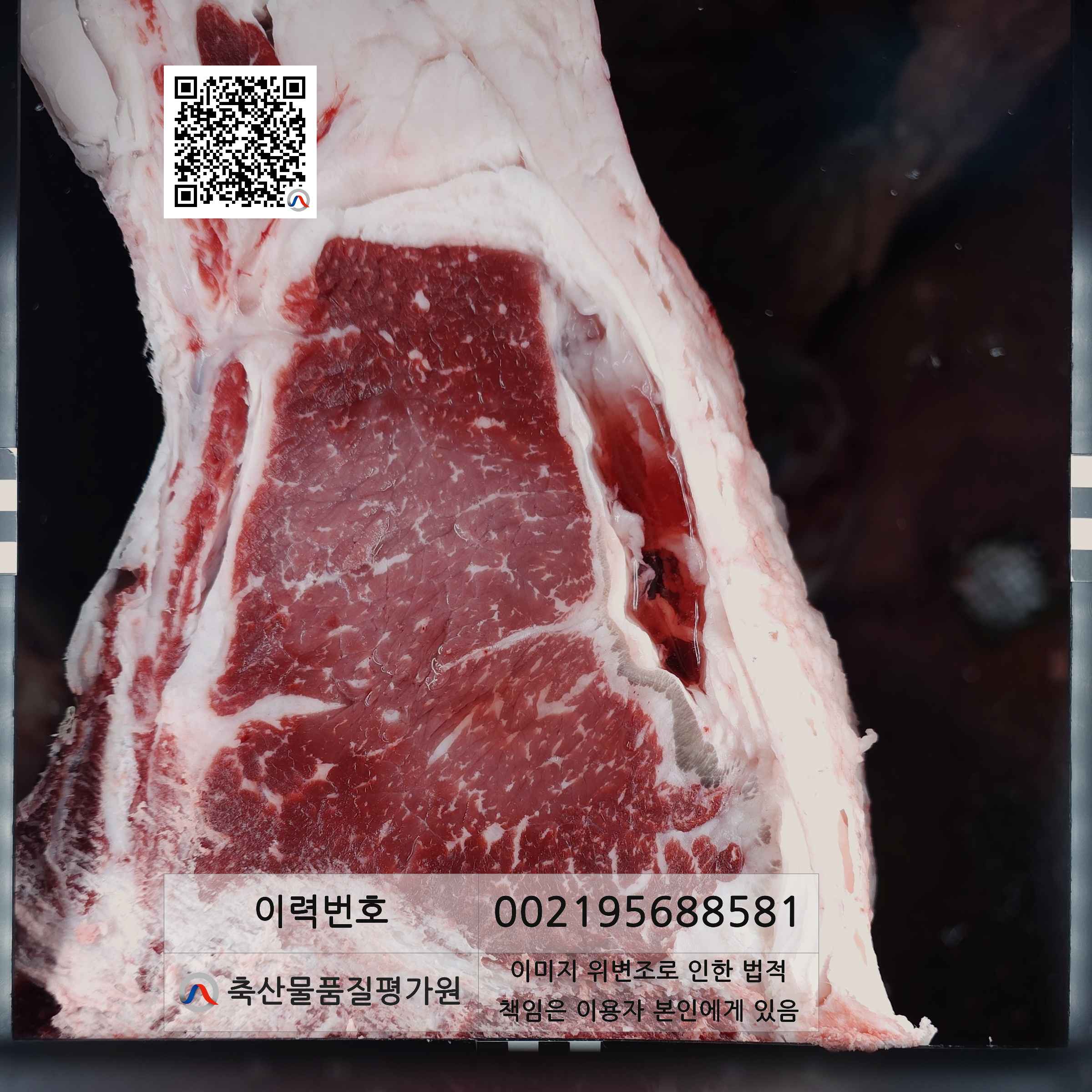 등심단면적 사진