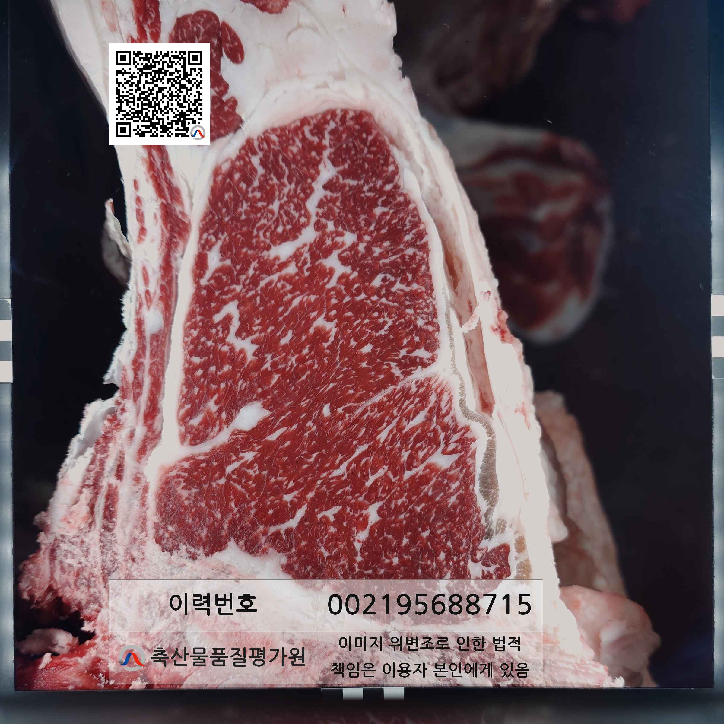 등심단면적 사진