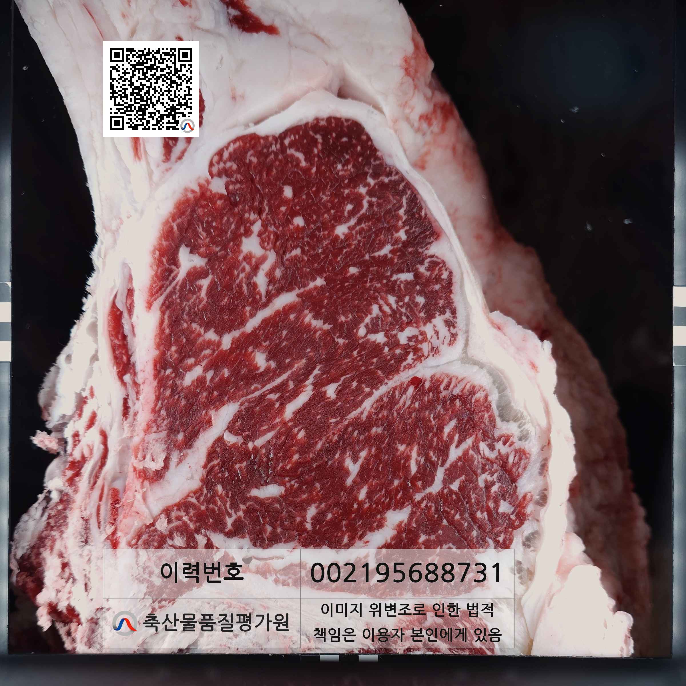 등심단면적 사진