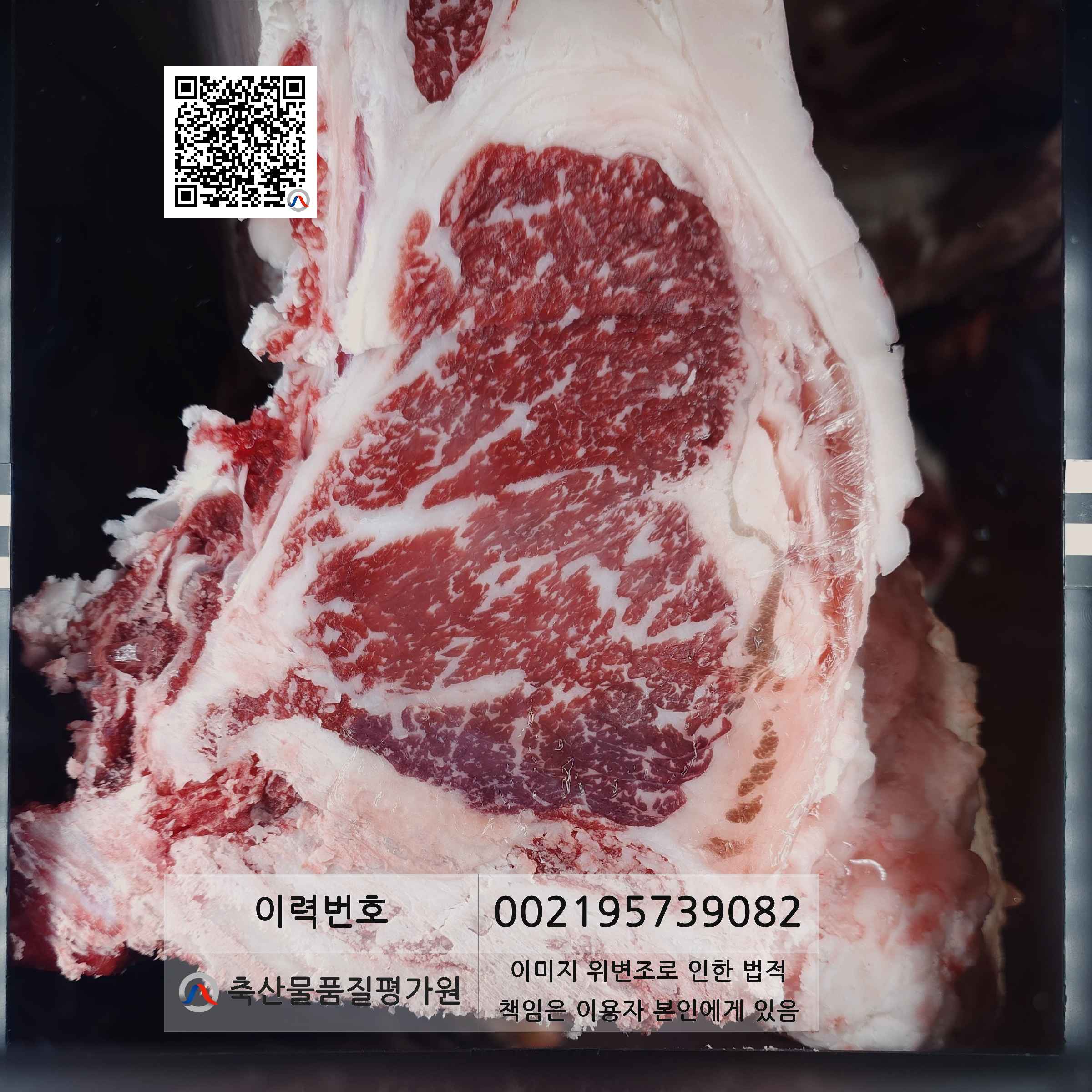 등심단면적 사진