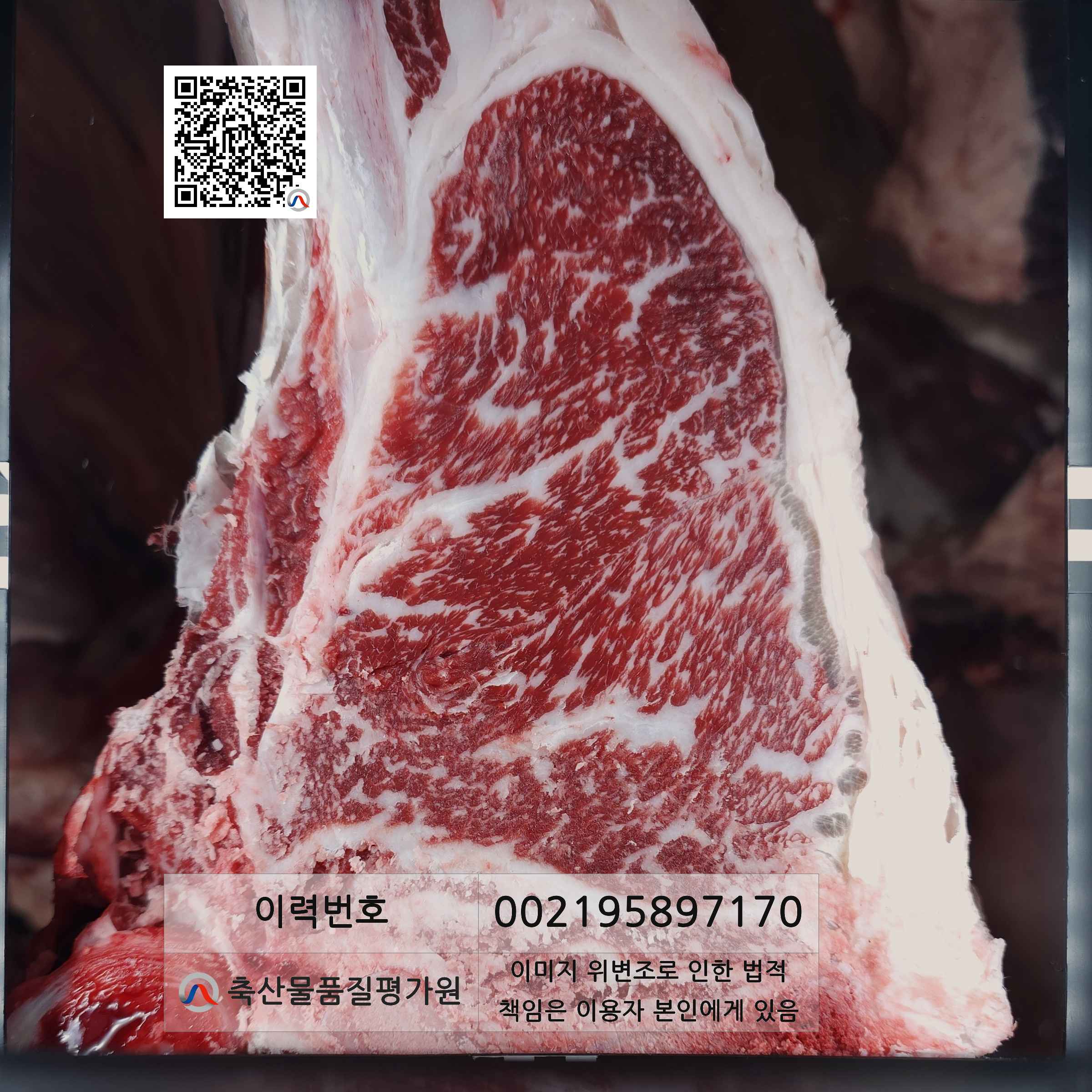 등심단면적 사진