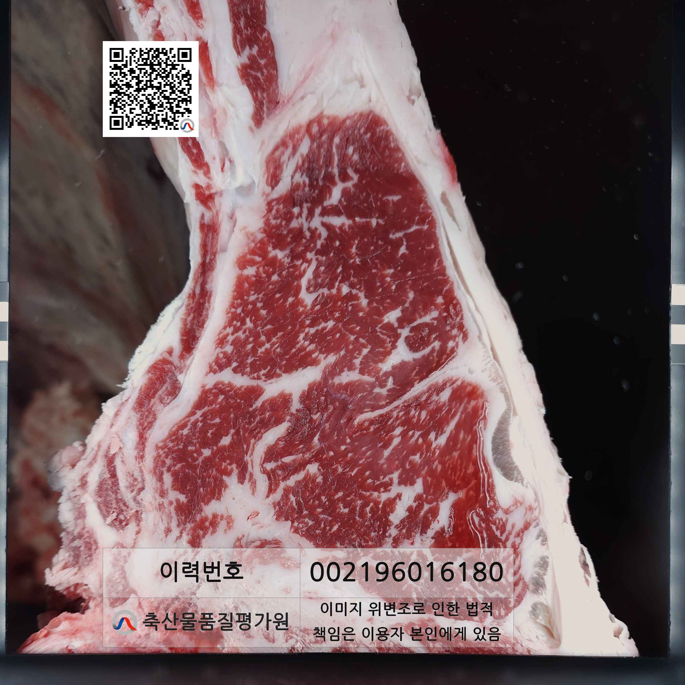 등심단면적 사진