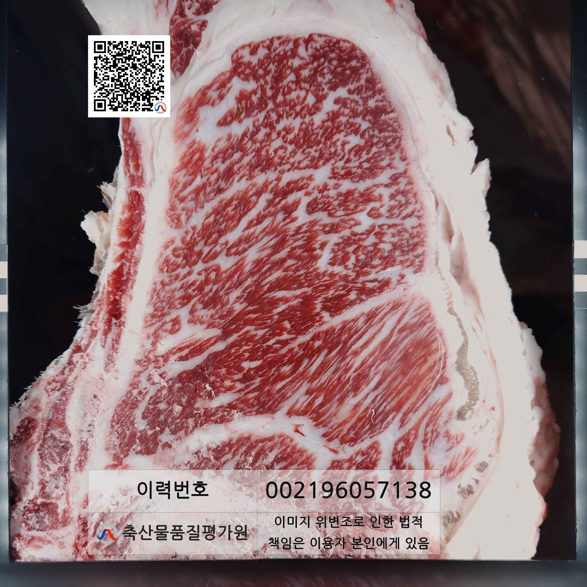 등심단면적 사진