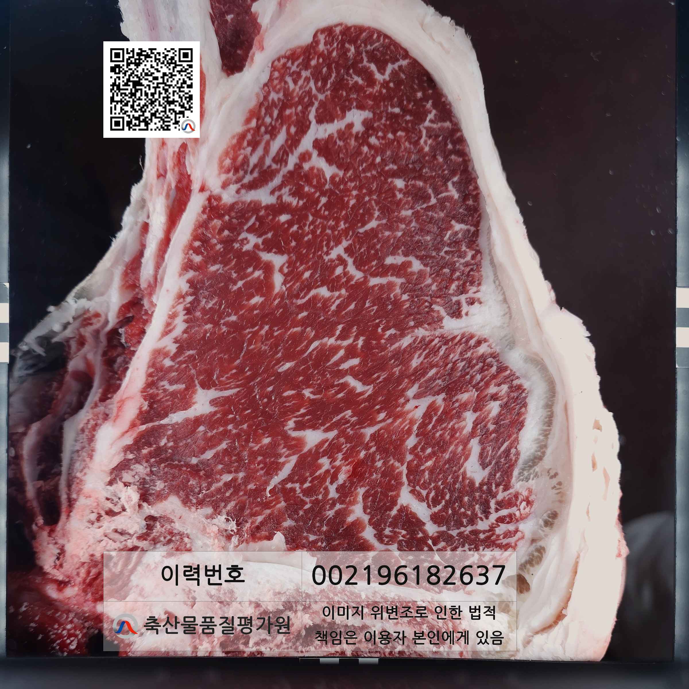 등심단면적 사진