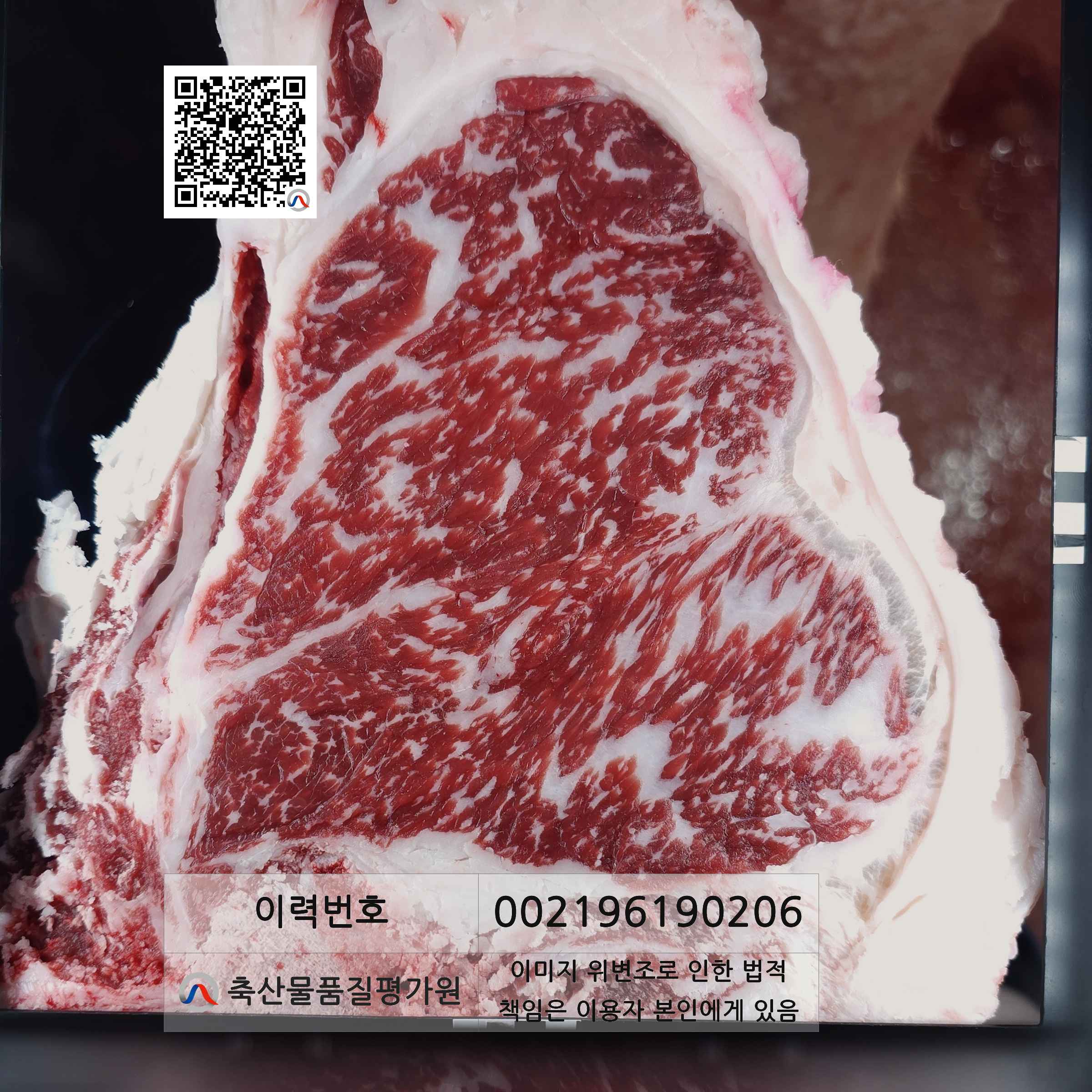 등심단면적 사진