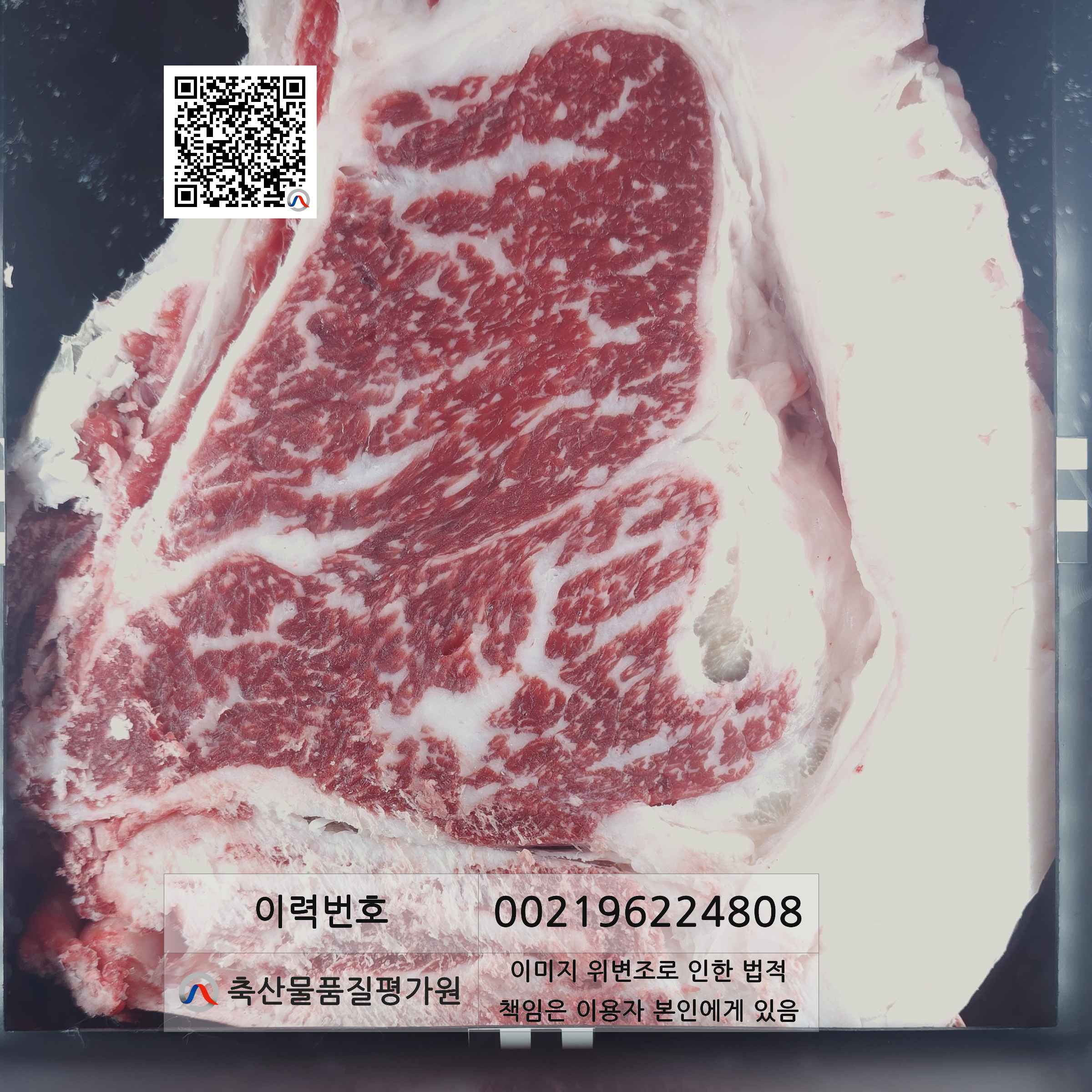 등심단면적 사진