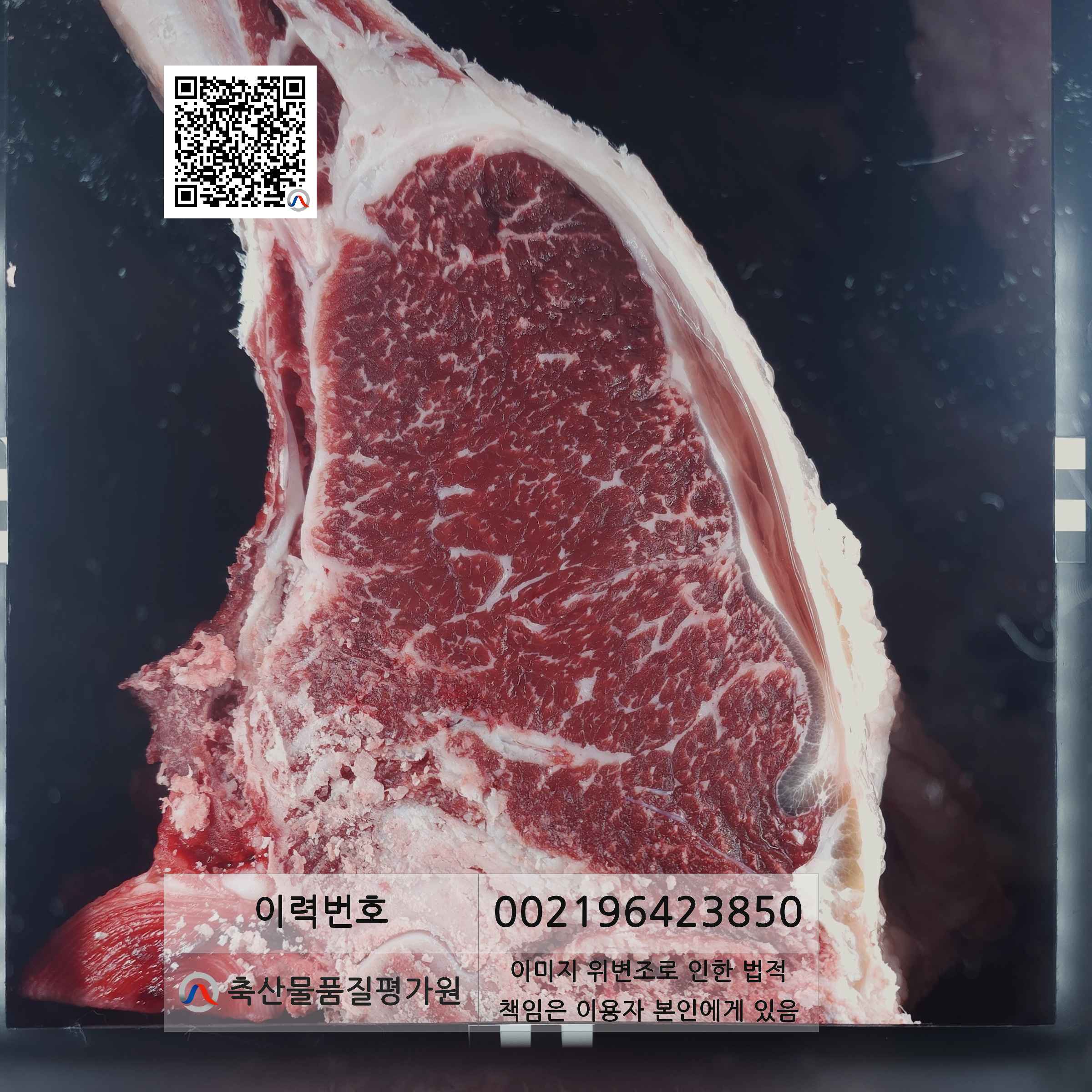 등심단면적 사진