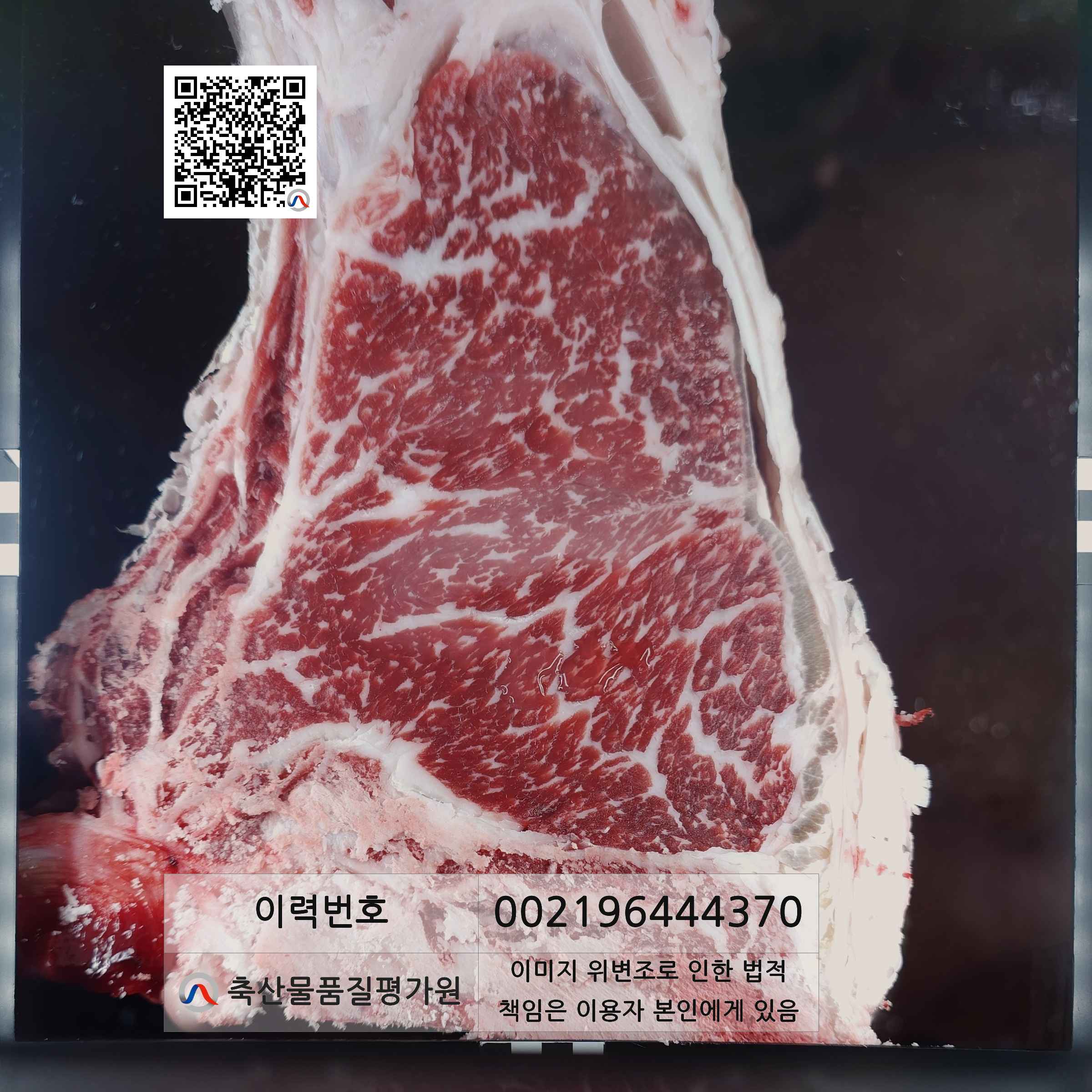 등심단면적 사진