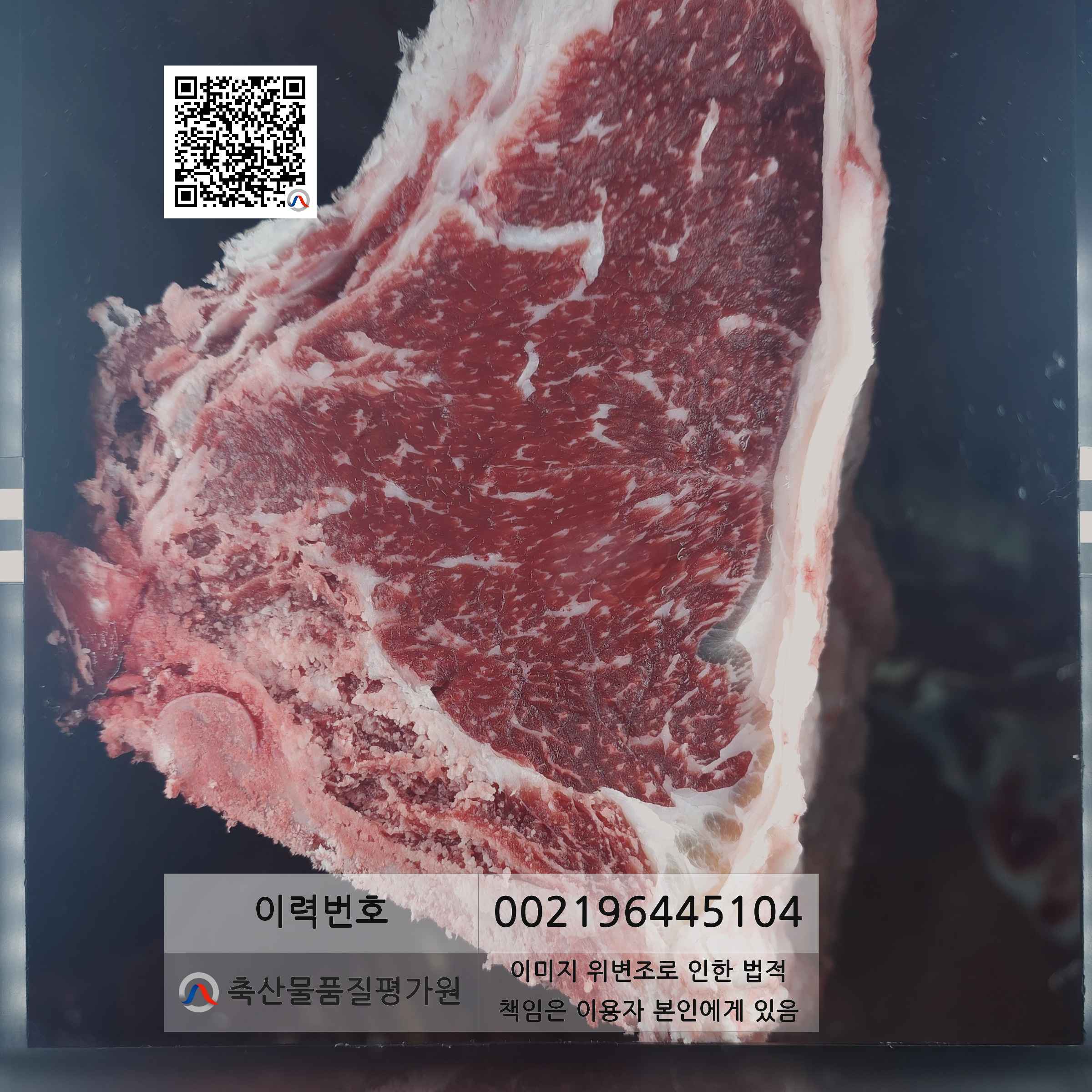 등심단면적 사진