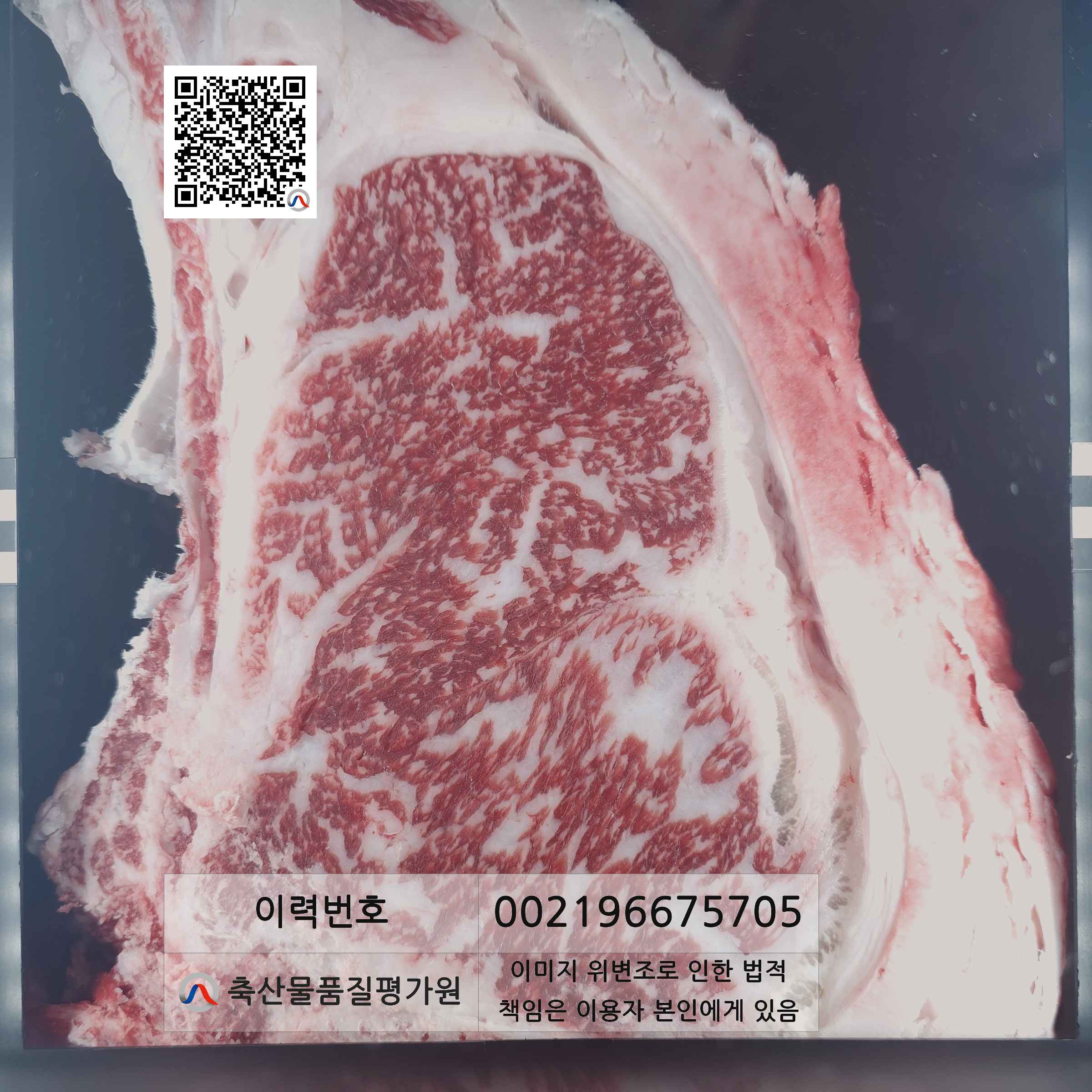 등심단면적 사진